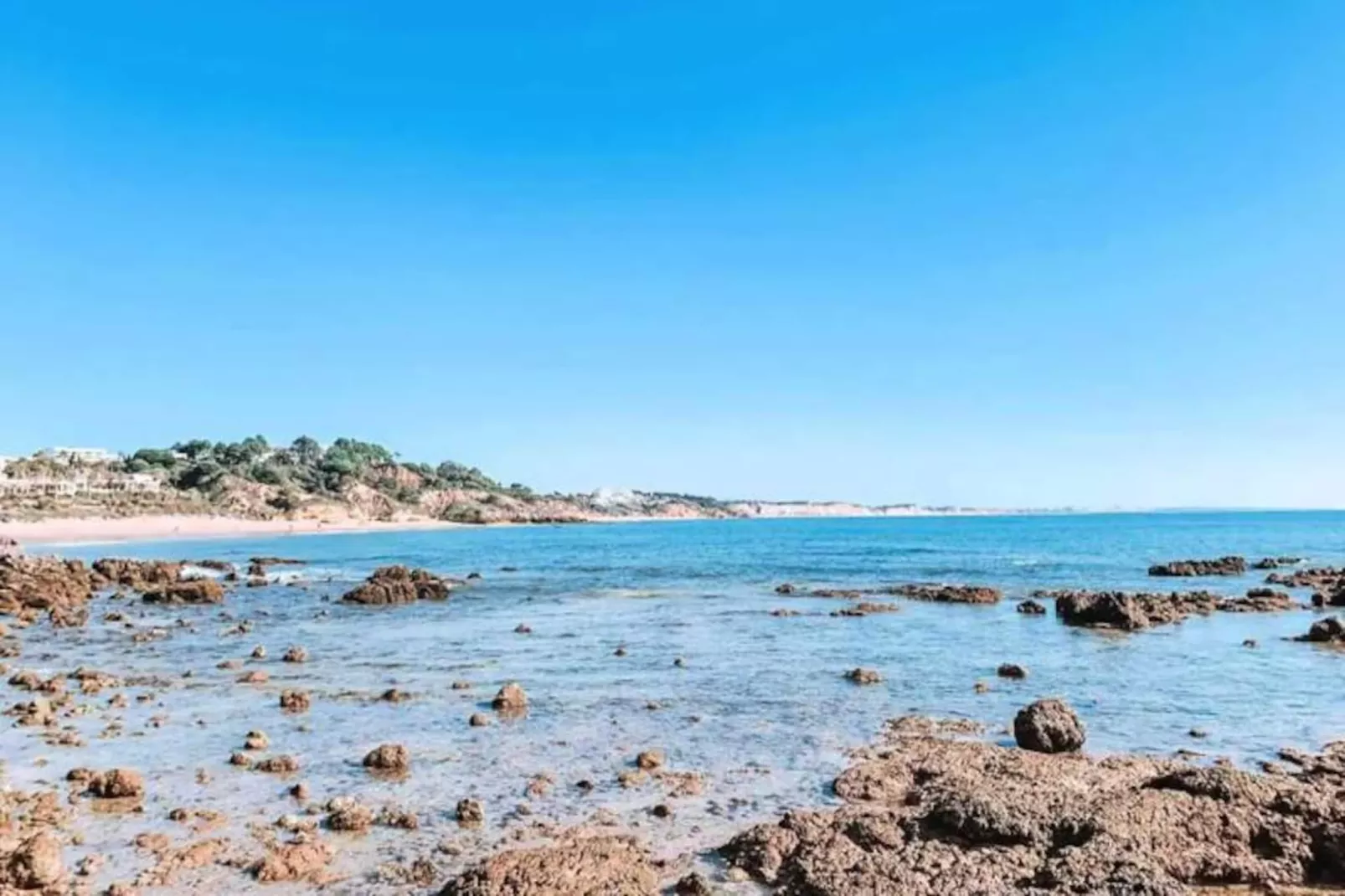 Plant Paradise Apartment-Niet-getagd