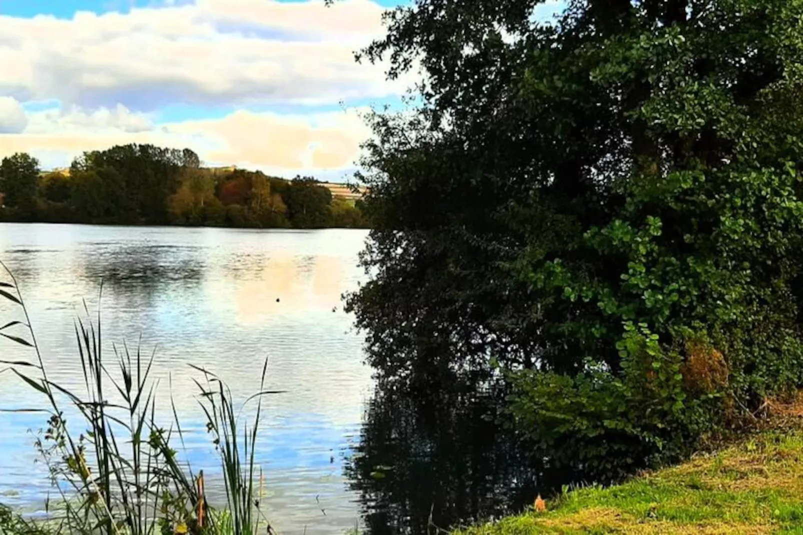 Résidence Of08 - Maison Entre Mer Et For&ecirc;t-Niet-getagd