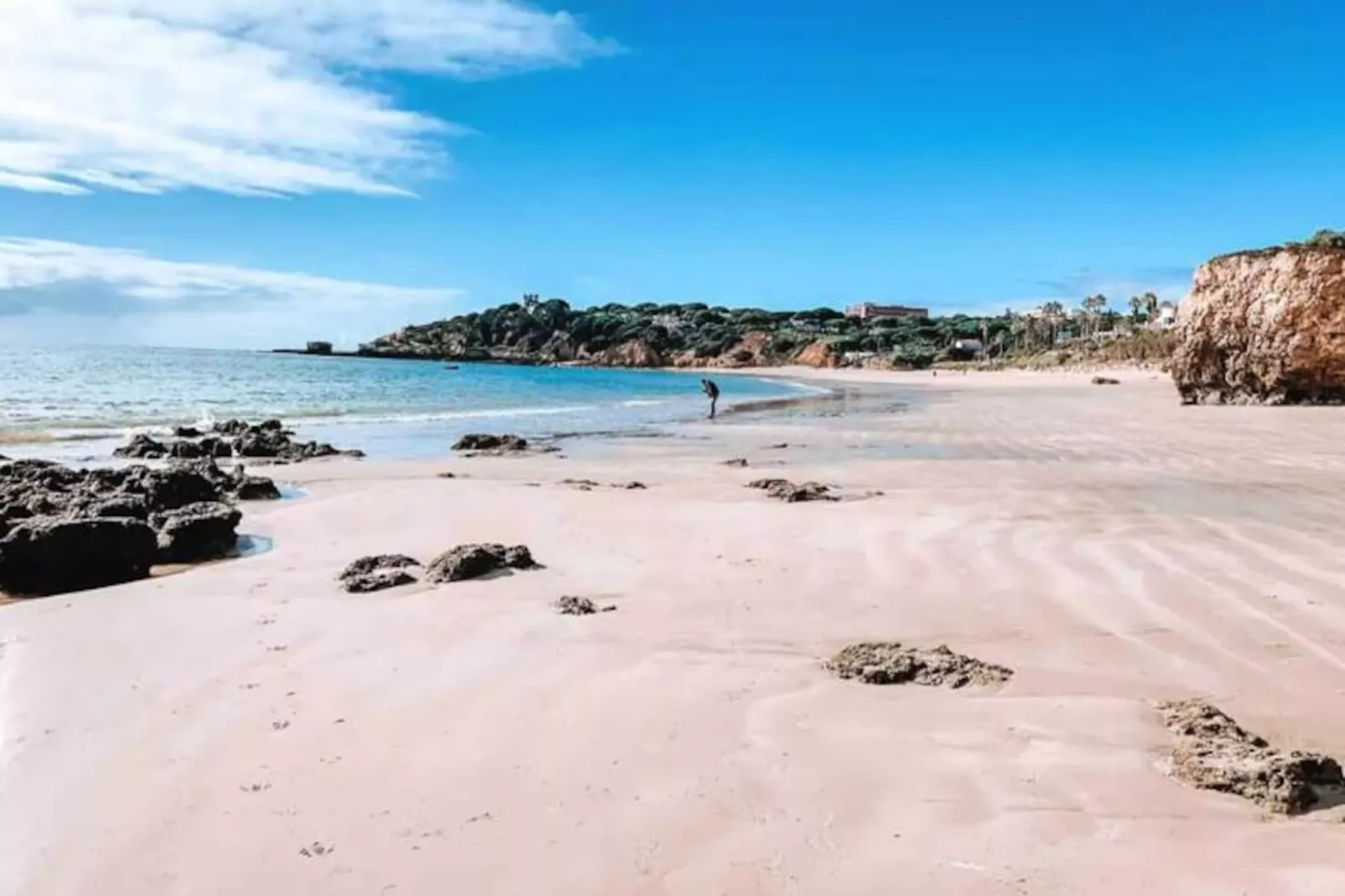 Plant Paradise Apartment-Niet-getagd