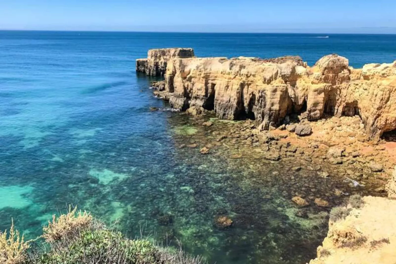 Plant Paradise Apartment-Niet-getagd