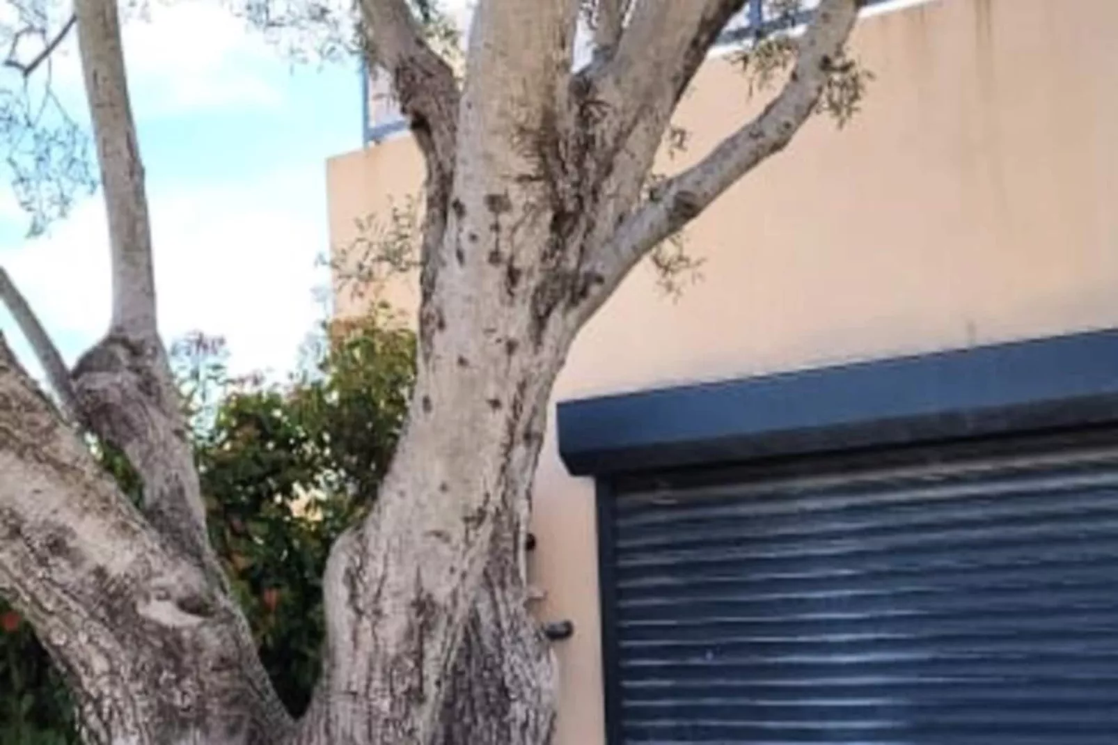 Résidence Villa Camarguaise : Entre Plage Et Centre Ville Avec Bassin Ext&eacute;rieur-Niet-getagd