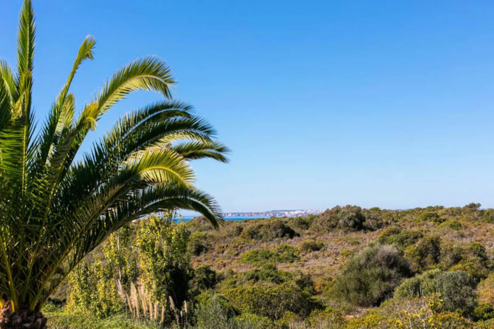 Casa Jaime-Niet-getagd