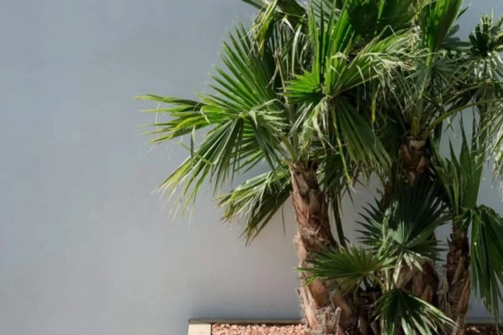 Résidence La Perle Rose Villa Standing 5 &eacute;toiles Avec Piscine Jacuzzi Et Superbe Vue-Niet-getagd