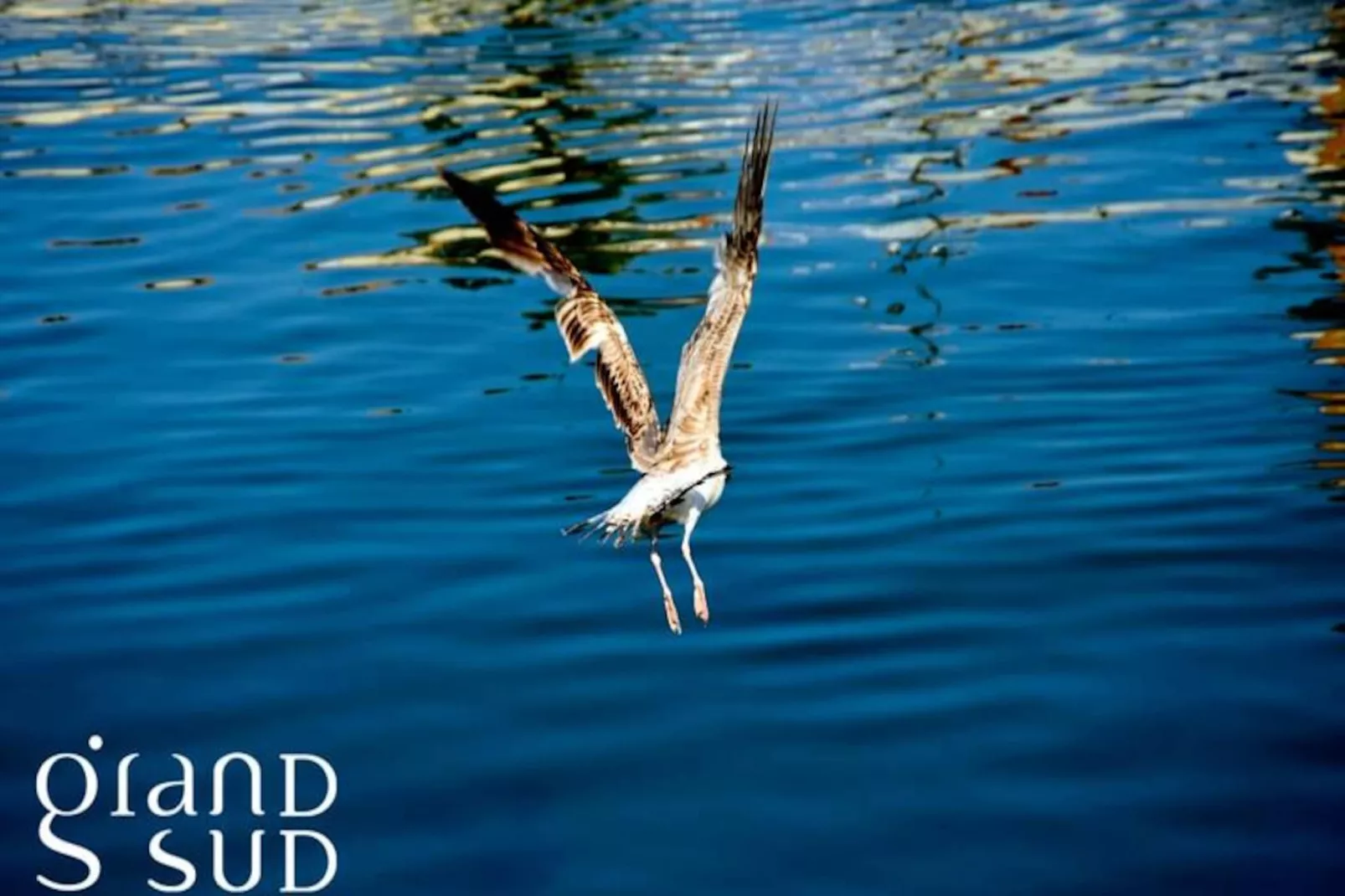 Résidence Le Flamant Appartement 2 Chambres Dernier &eacute;tage Vue Mer-Niet-getagd
