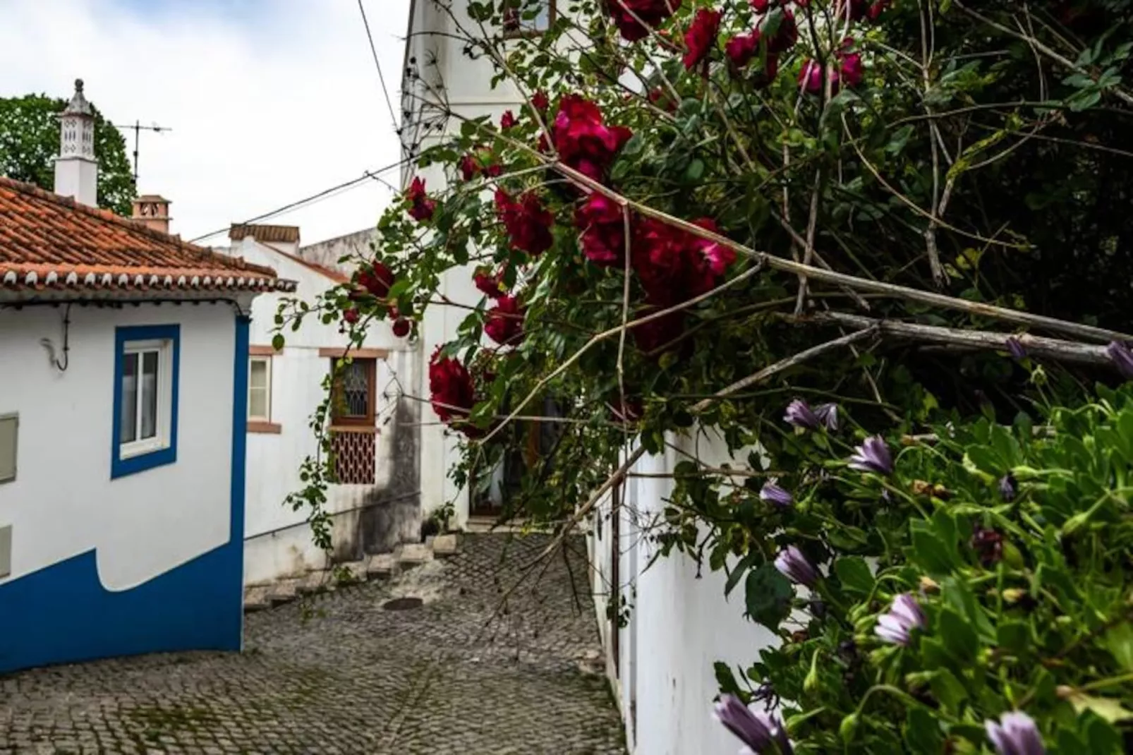 Casa Do Amor-Niet-getagd