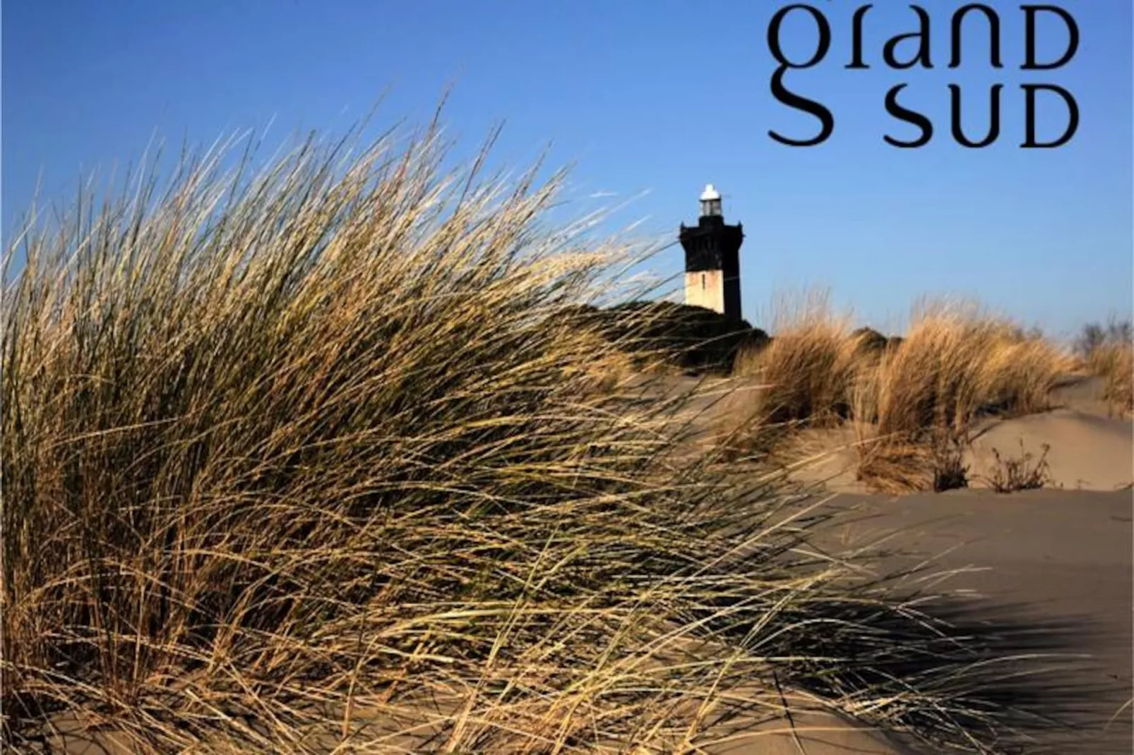 Résidence Le Phare Du Grau: Superbe Appartement Standing 3 Chambres  Vue Mer-Niet-getagd