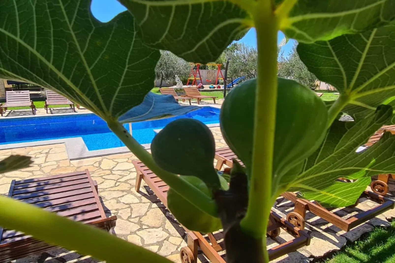 Villa Popovića Dvori -  Six Bedroom Villa with Pool-Buitenlucht