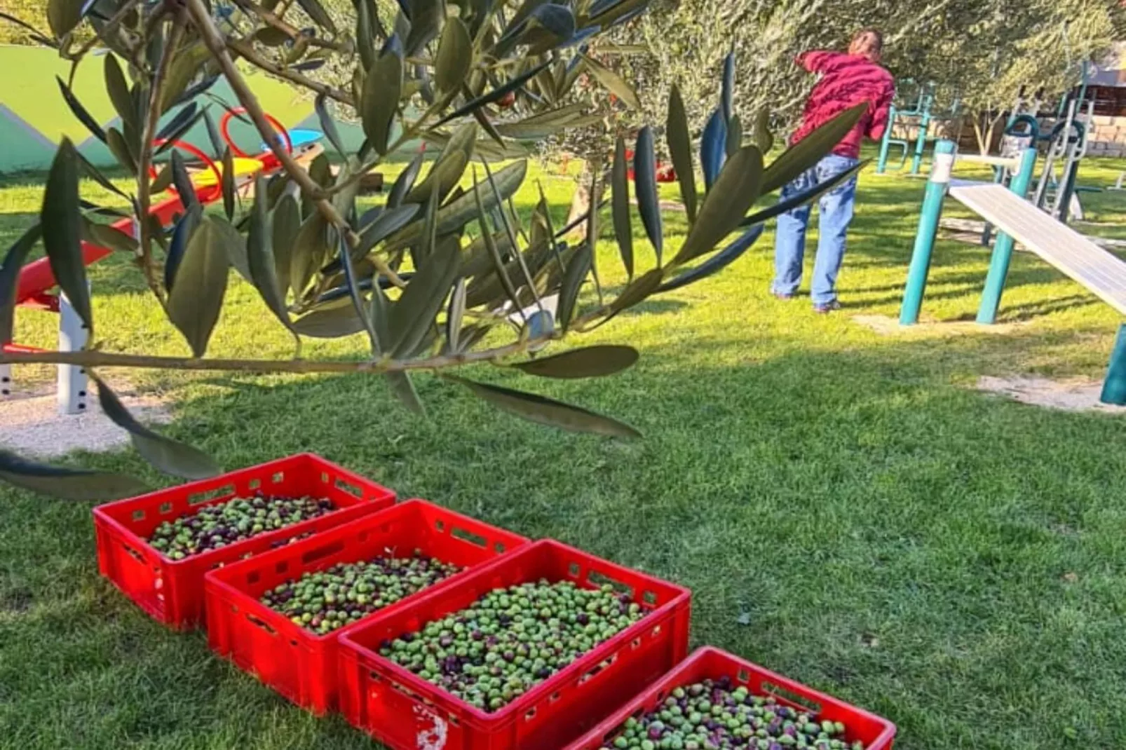 Villa Popovića Dvori -  Six Bedroom Villa with Pool-Buitenlucht