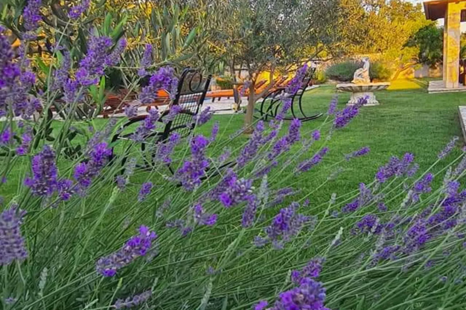 Villa Popovića Dvori -  Six Bedroom Villa with Pool-Buitenlucht