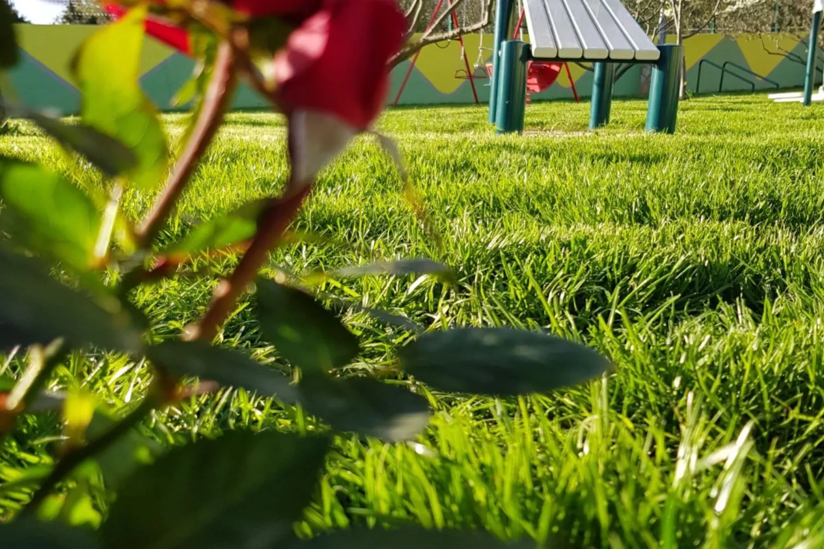 Villa Popovića Dvori -  Six Bedroom Villa with Pool-Buitenlucht