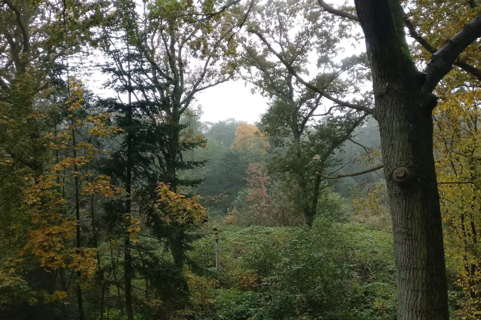 6 persoons vakantie huis in Hadsund-By Traum-Niet-getagd