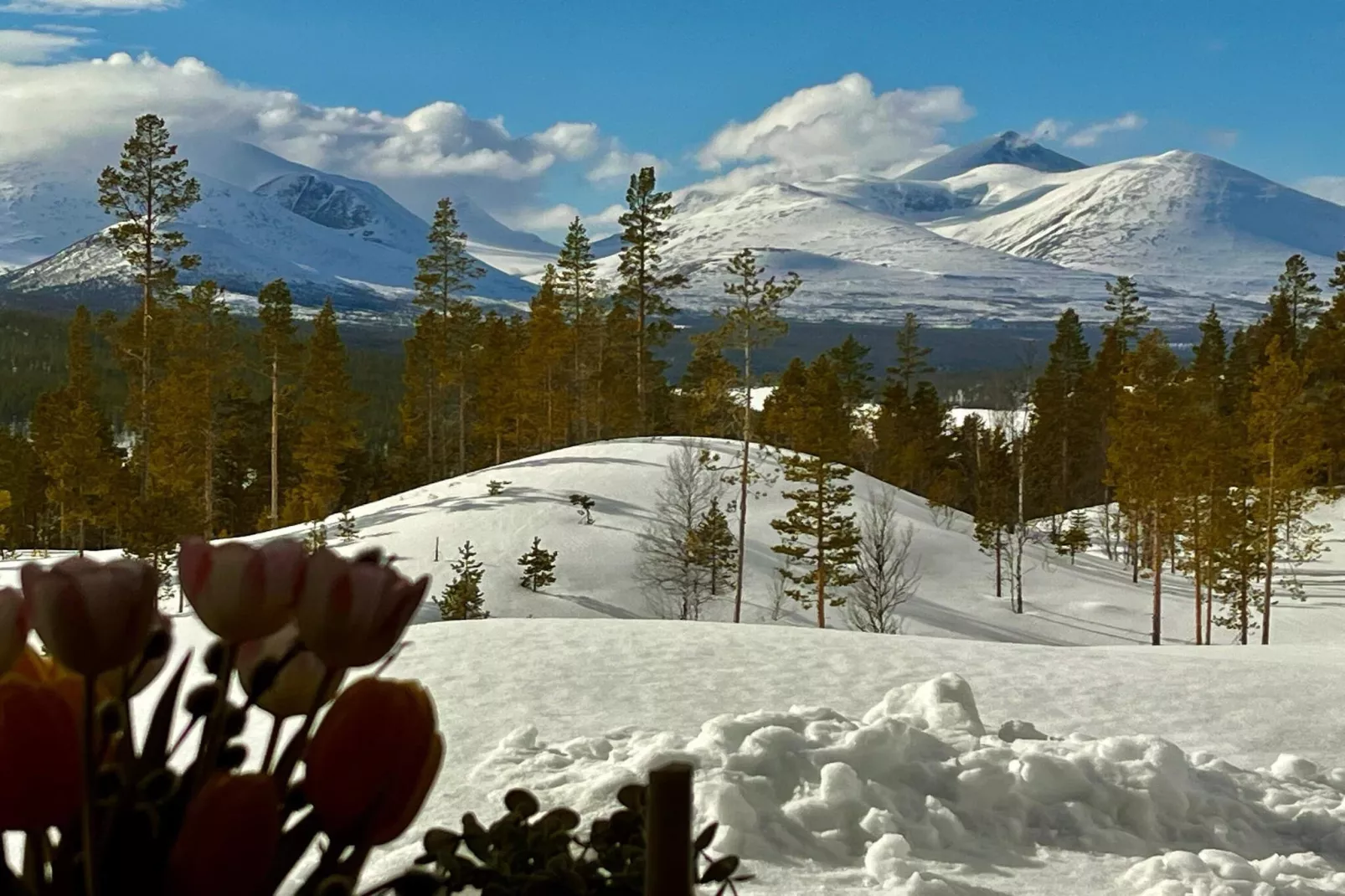 6 persoons vakantie huis in Sollia-By Traum-Niet-getagd