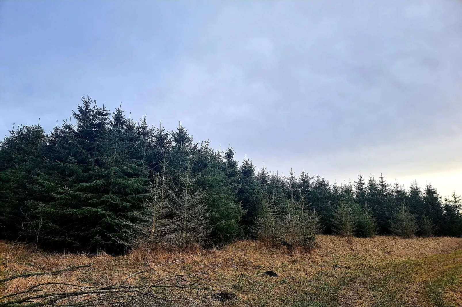 Luxe Spa-Retraite in Thorsager -- By Traum Ferienwohnungen-Niet-getagd