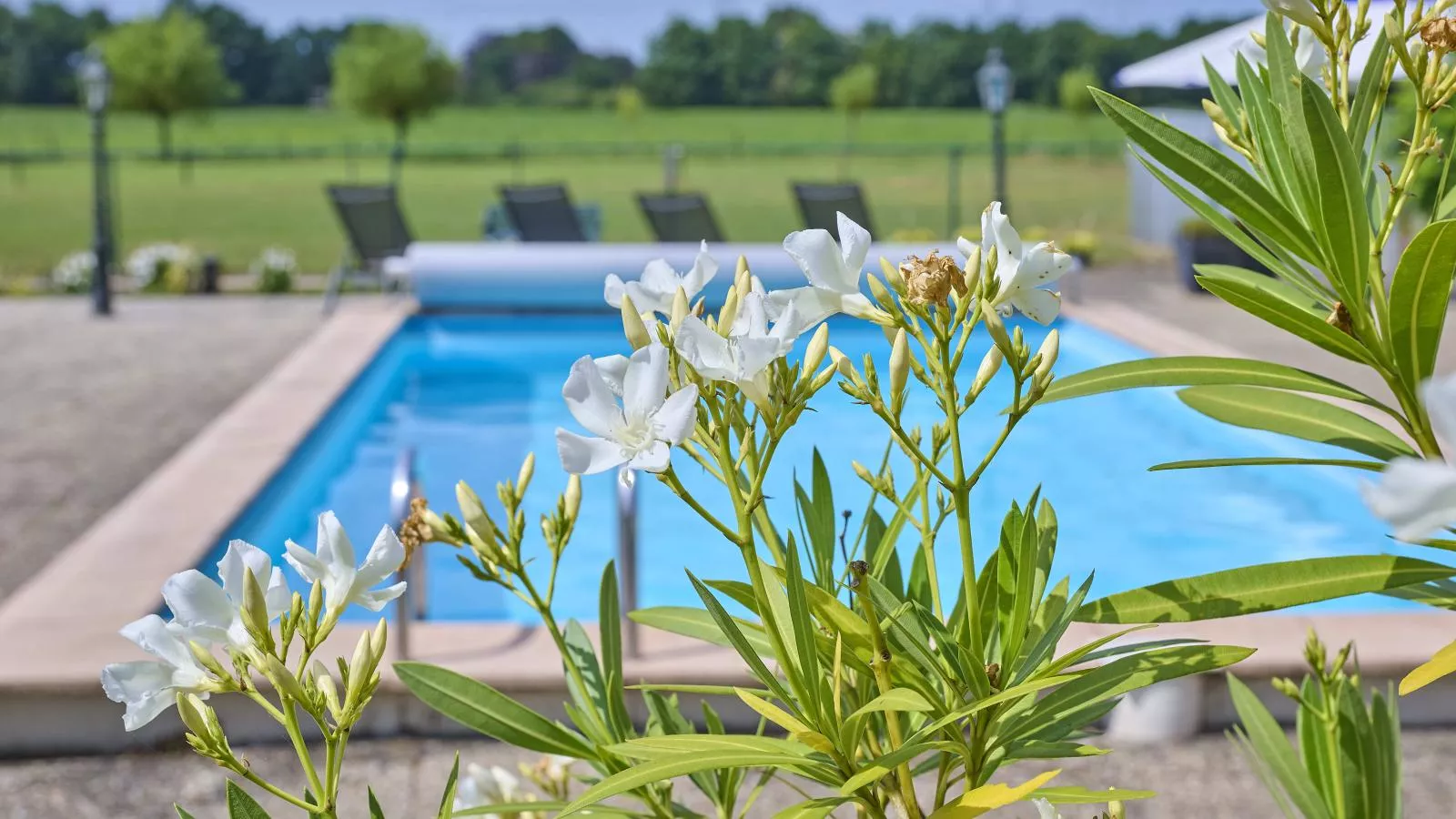 De Vrije Vogel-Zwembad