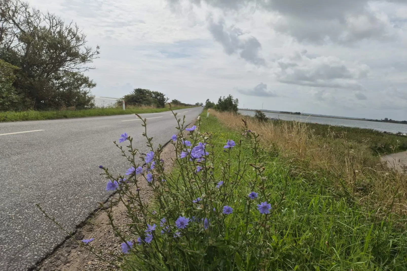 4 persoons vakantie huis in Odder-Waterzicht