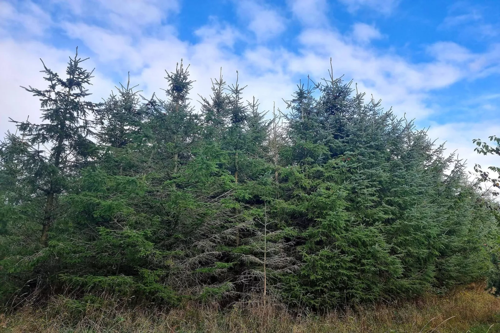 Luxe Spa-Retraite in Thorsager -- By Traum Ferienwohnungen-Niet-getagd