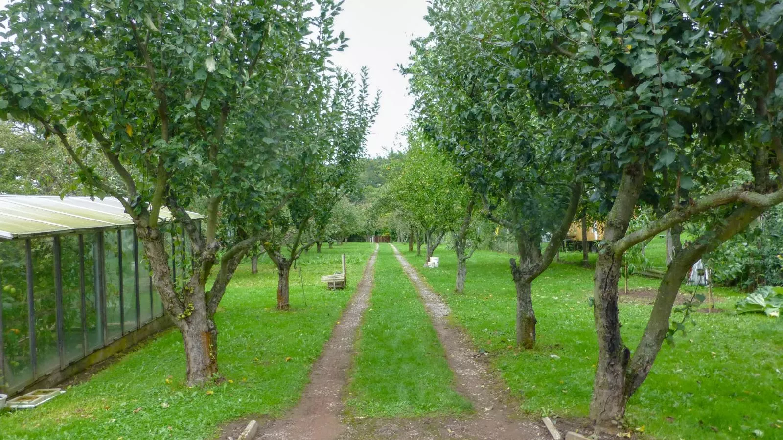 Im Harz-Tuinen zomer