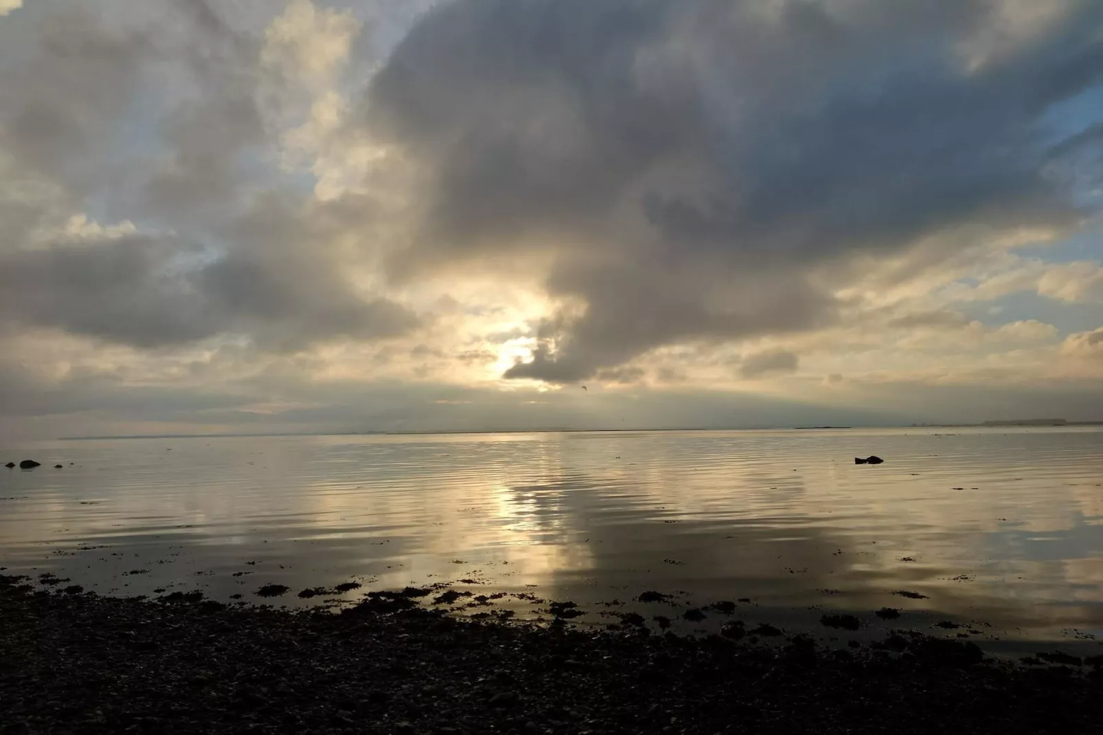 4 persoons vakantie huis in Odder-Waterzicht