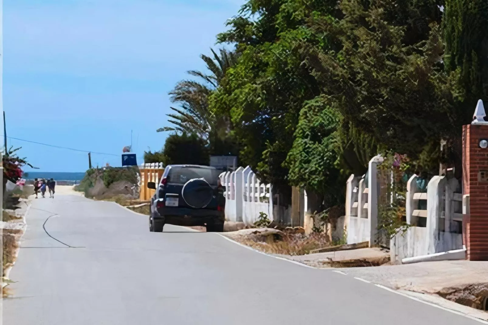 5024 -+34672427629-Gebieden zomer 1km