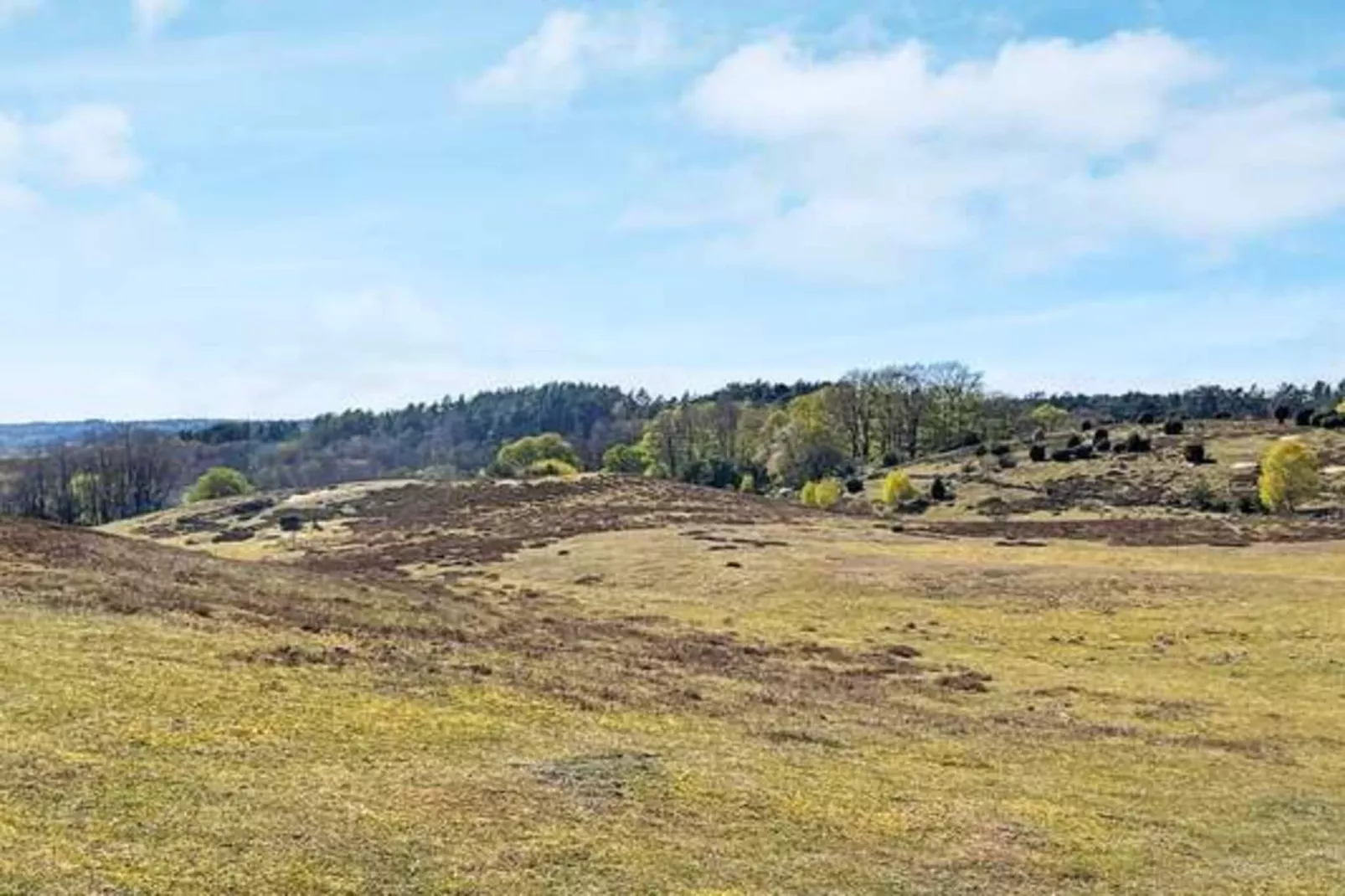 4 sterren vakantie huis in BRÖSARP-Buitenlucht