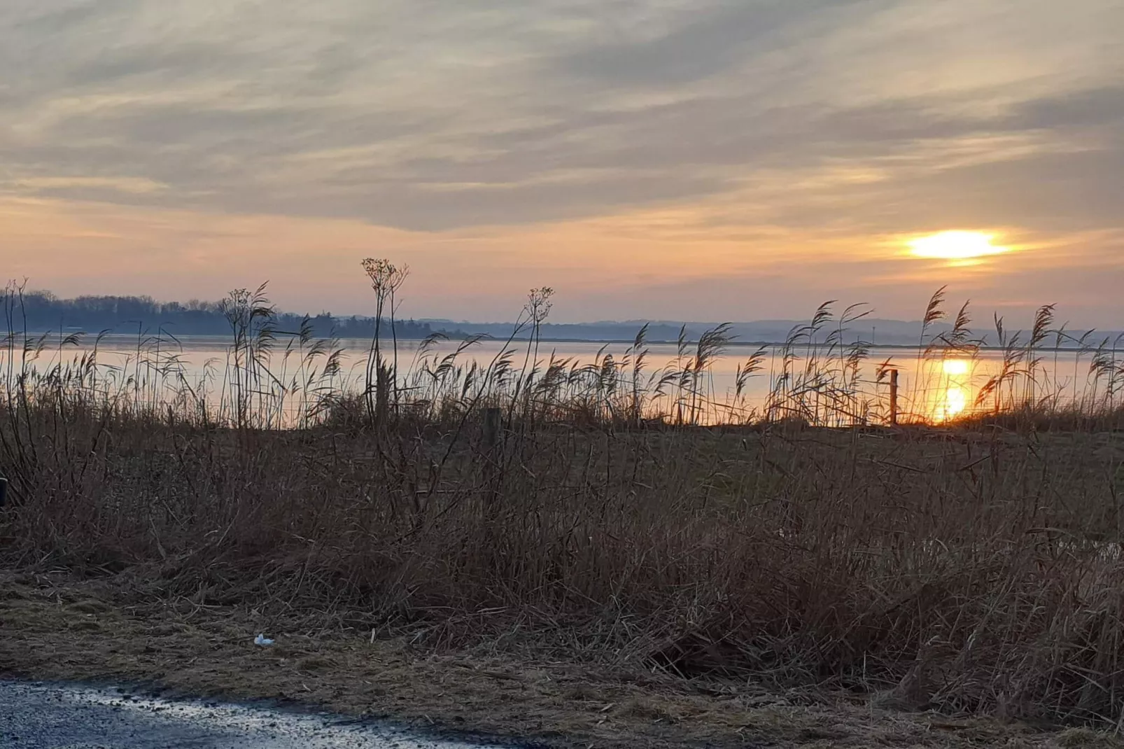 4 persoons vakantie huis in Odder-Waterzicht