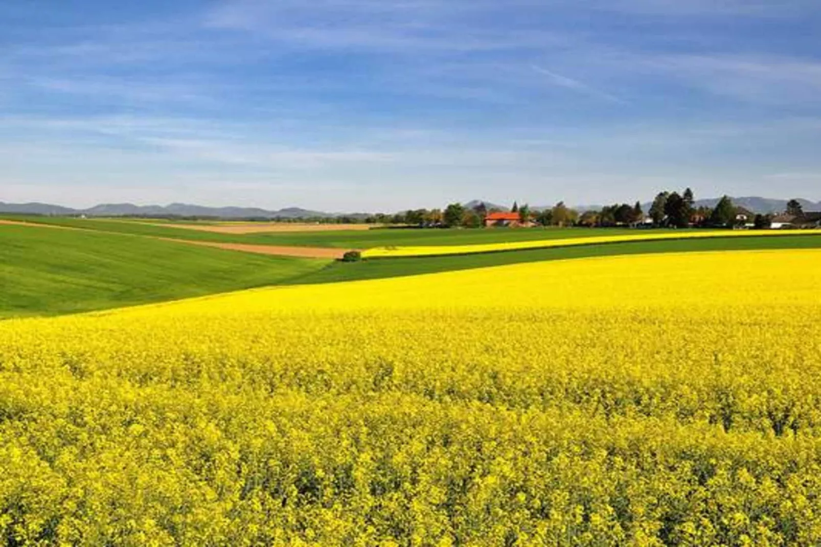4 sterren vakantie huis in BRÖSARP-Buitenlucht