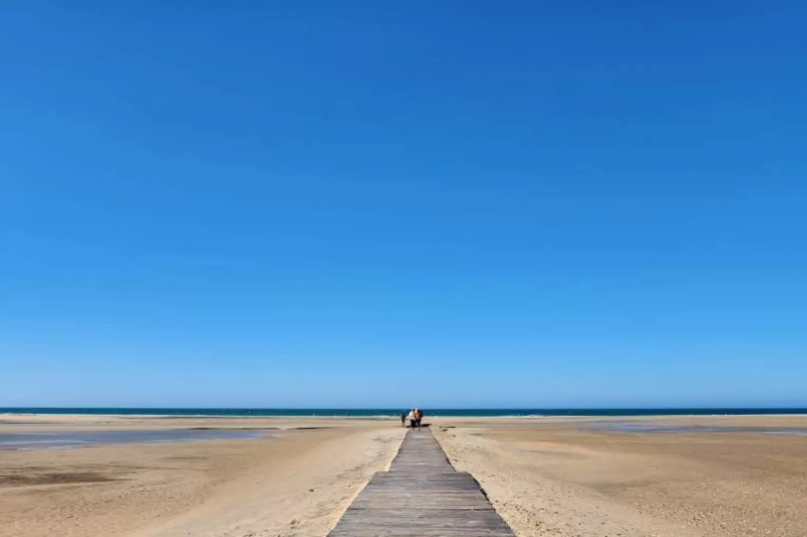 4981-+34636021638-Gebieden zomer 5km