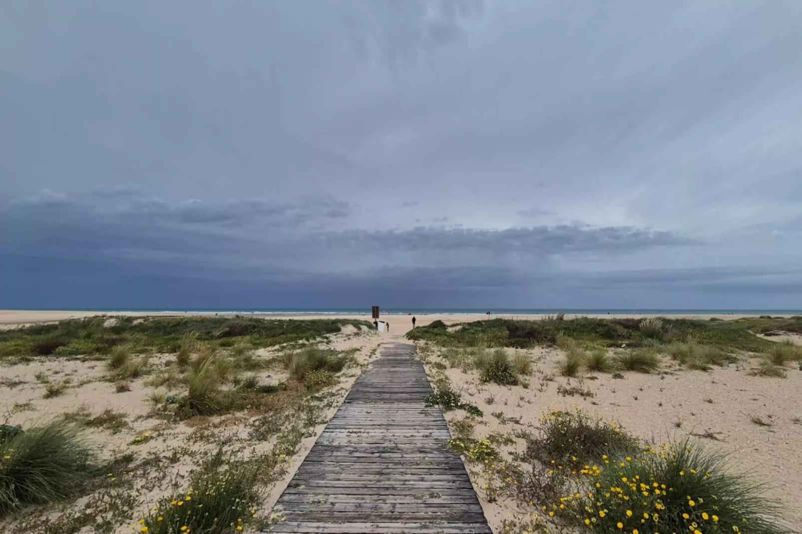 4515-+34696547830-Gebieden zomer 5km