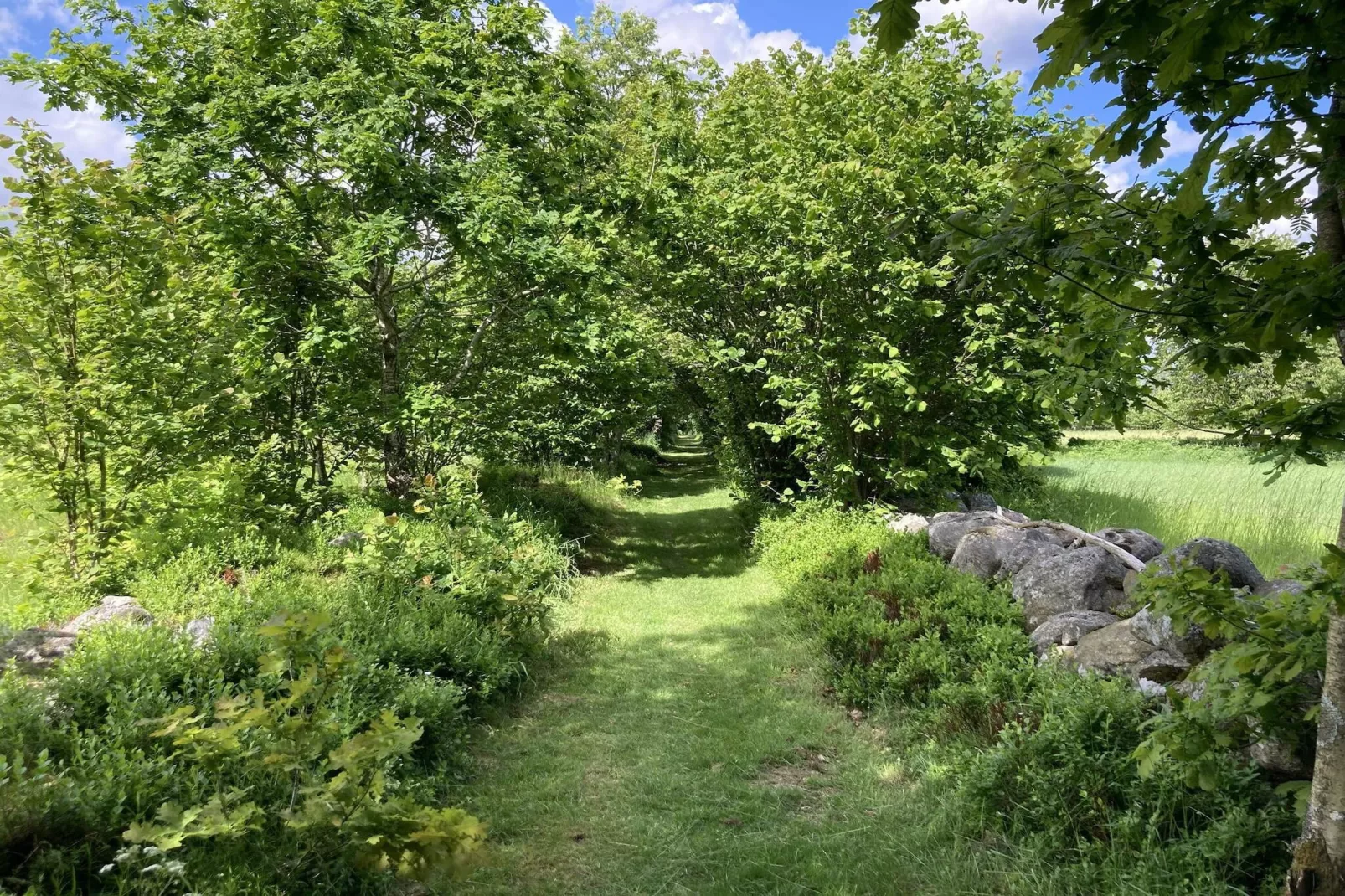 4 sterren vakantie huis in BRÖSARP-Buitenlucht