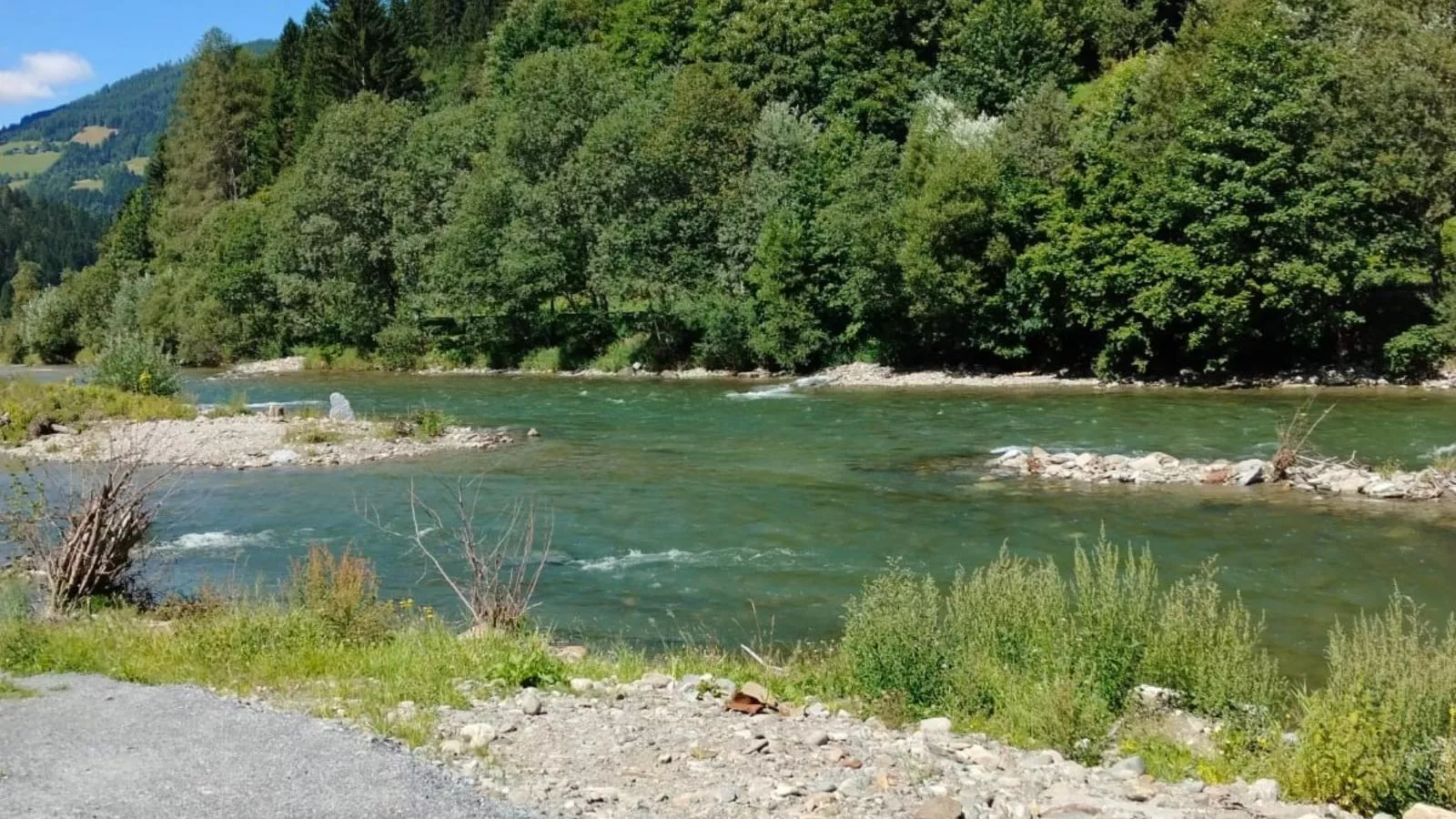 Murblick-Gebieden zomer 1km