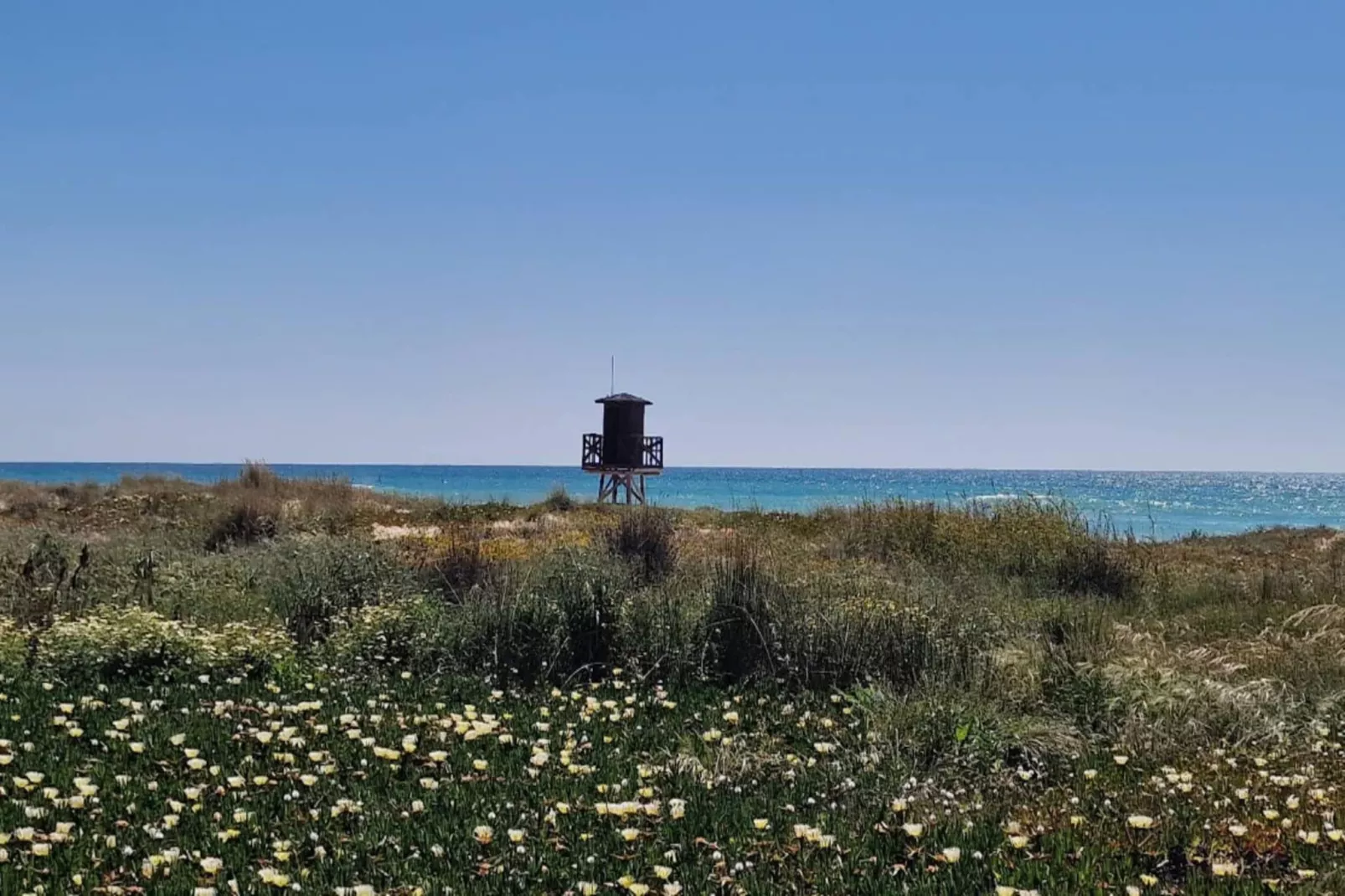 5024 -+34672427629-Gebieden zomer 5km