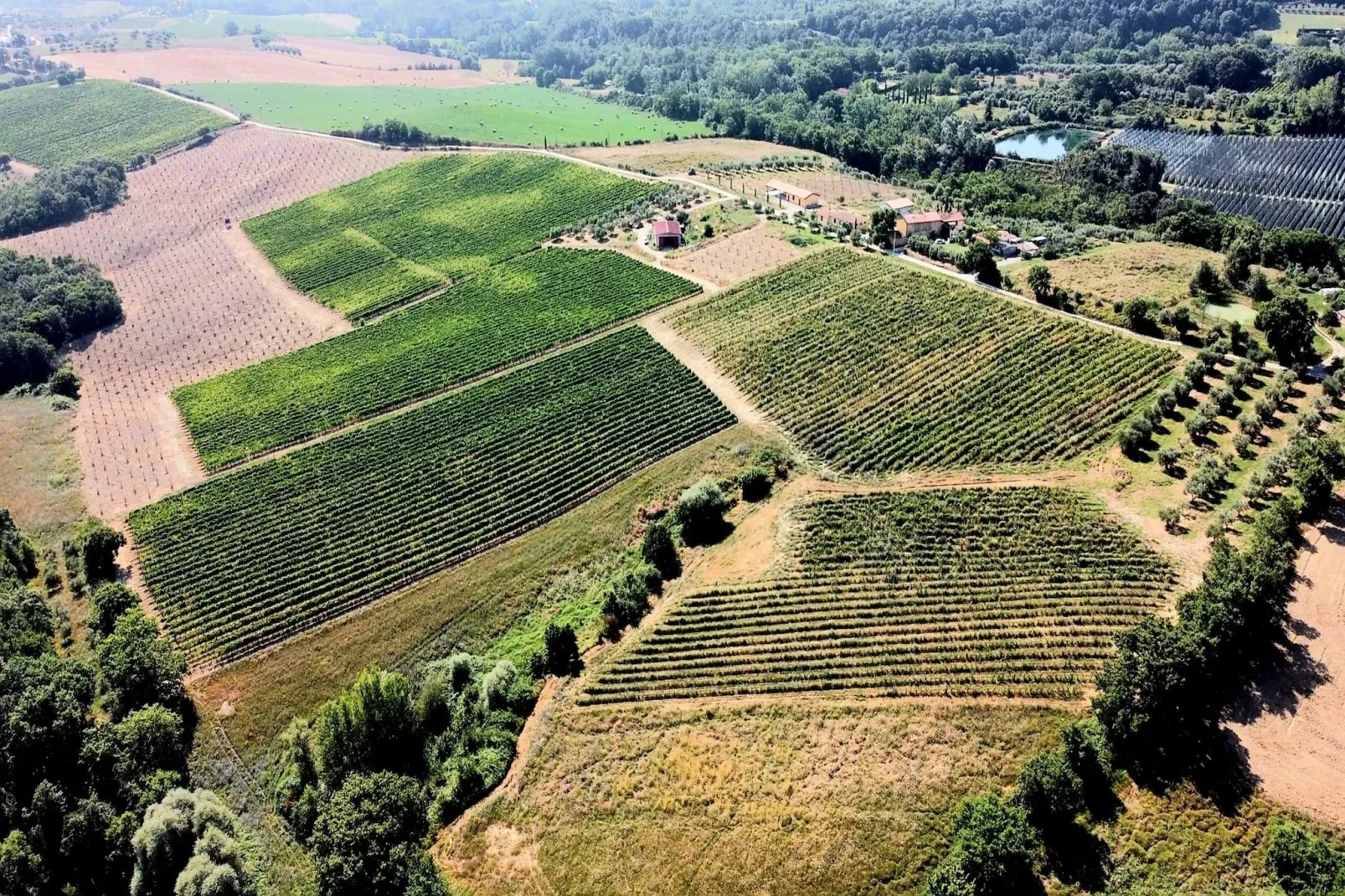 Scirocco-Gebieden zomer 1km