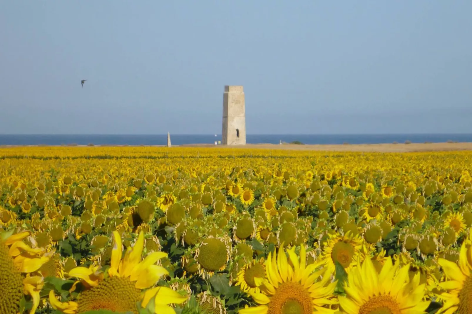 Paola -Casa Mevak-Gebieden zomer 5km