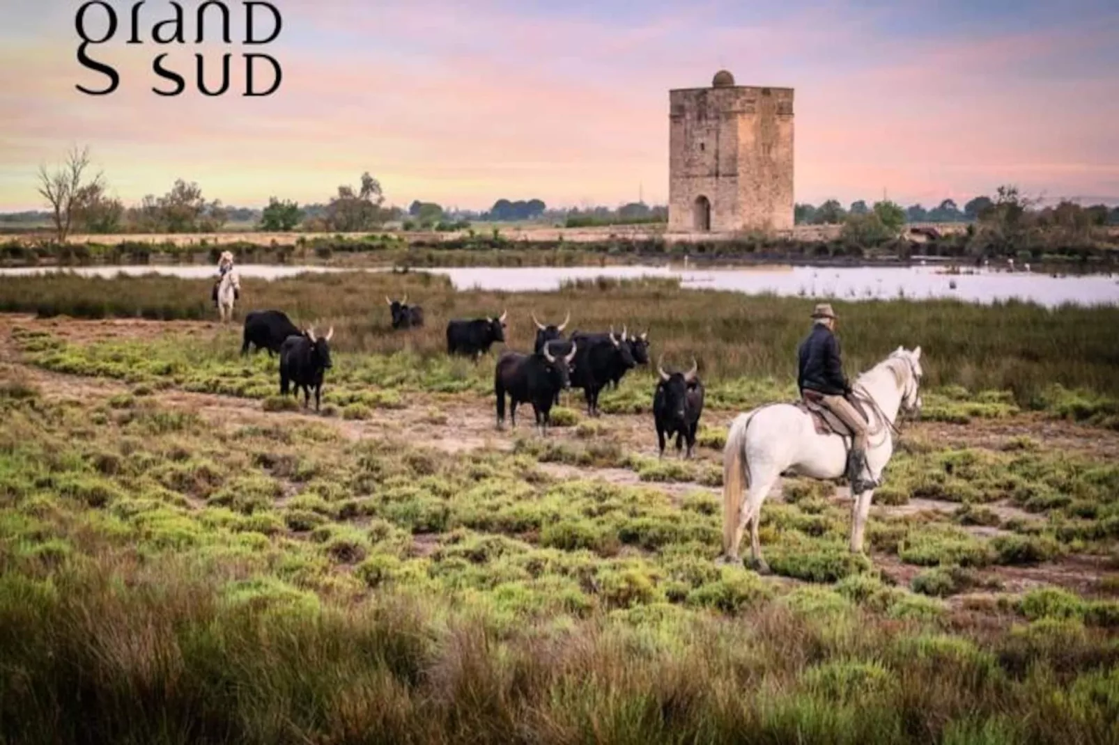 Résidence Appartement Camargue Village &agrave; Deux Pas De La Plage Du Boucanet-Niet-getagd