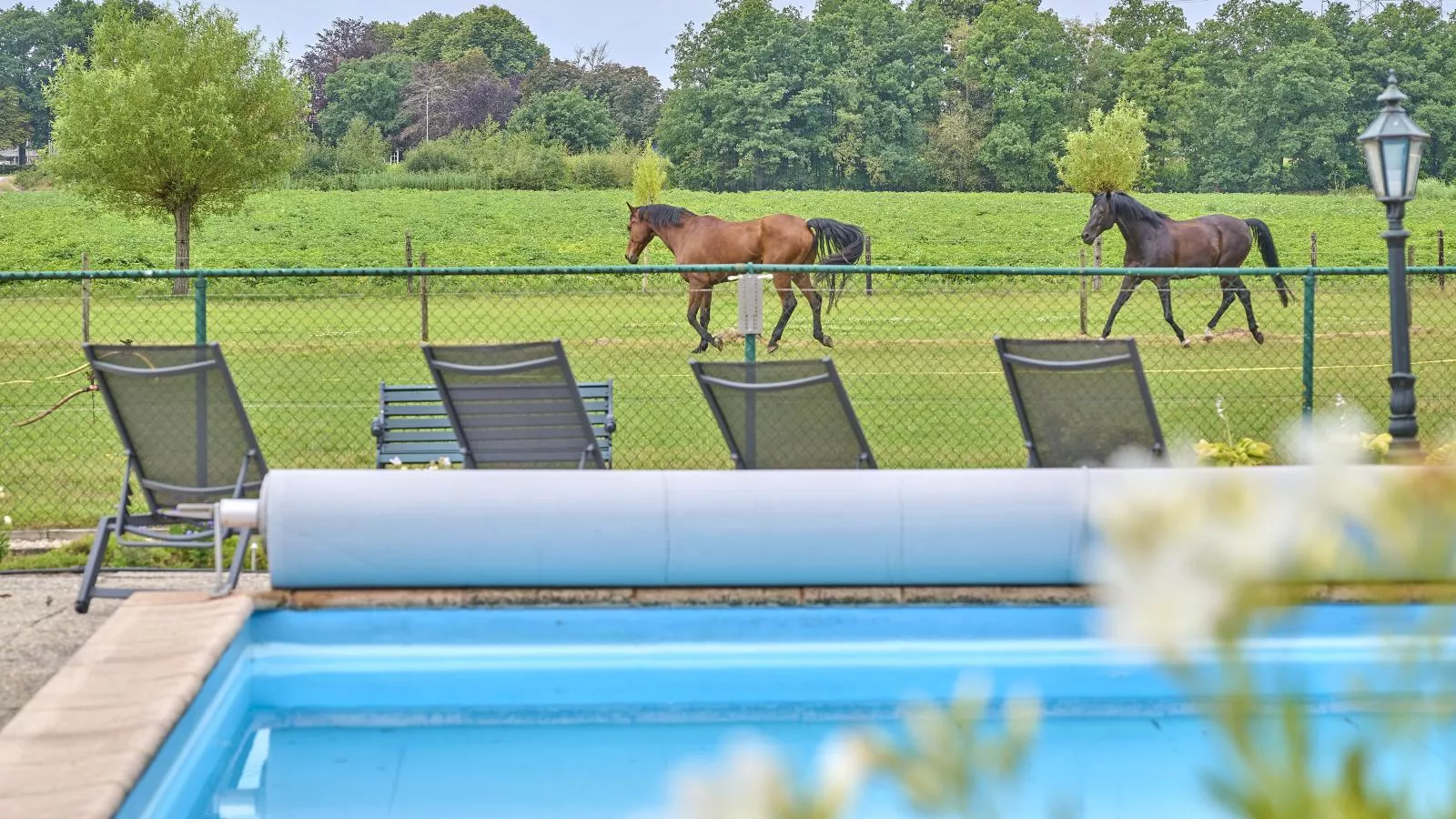 De Vrije Vogel-Zwembad