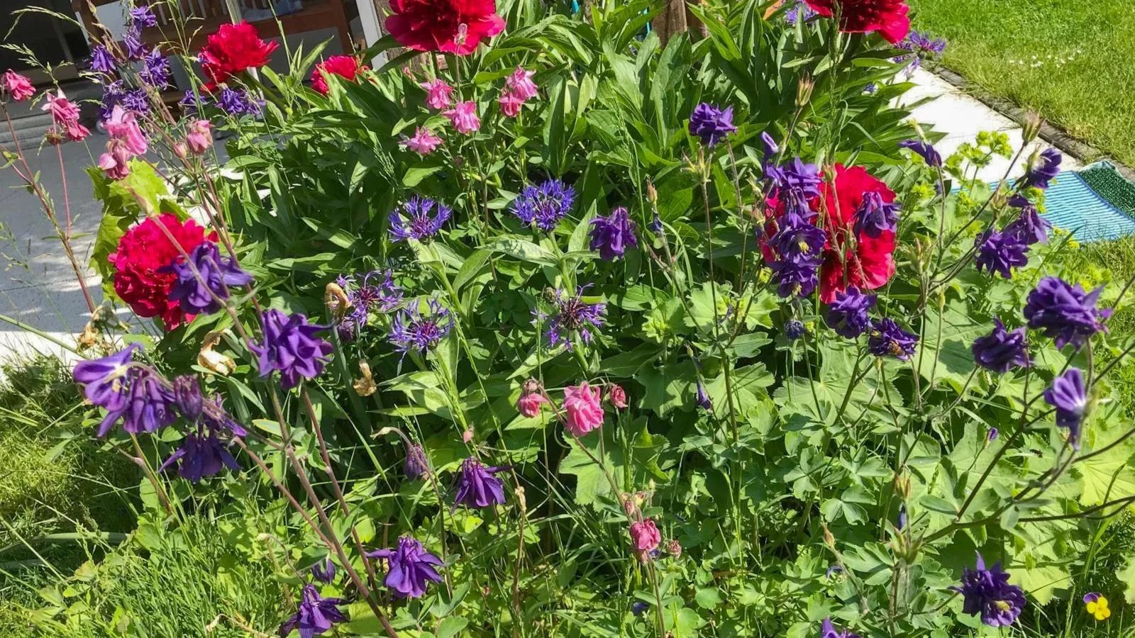 Böhmerwaldnest-Tuinen zomer