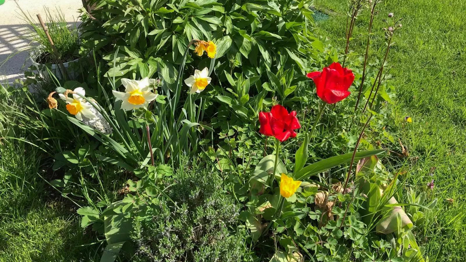 Böhmerwaldnest-Sfeer