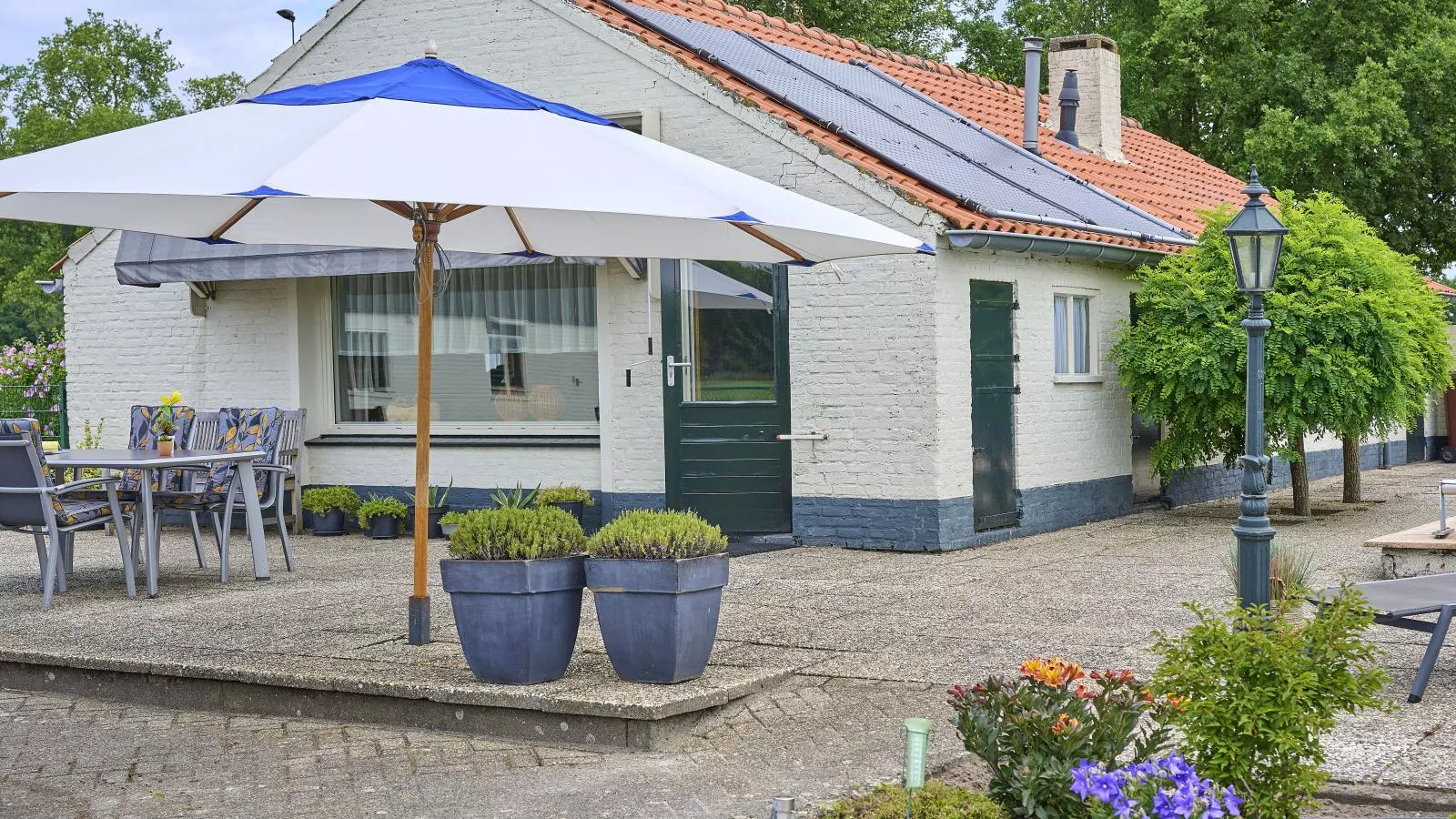 De Vrije Vogel-Gebieden zomer 1km