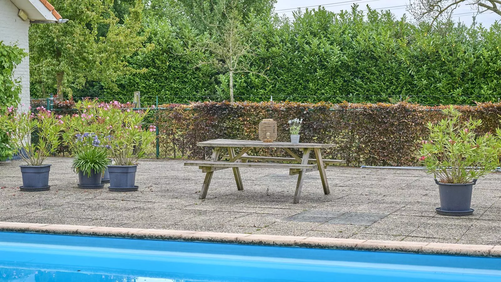 De Vrije Vogel-Zwembad