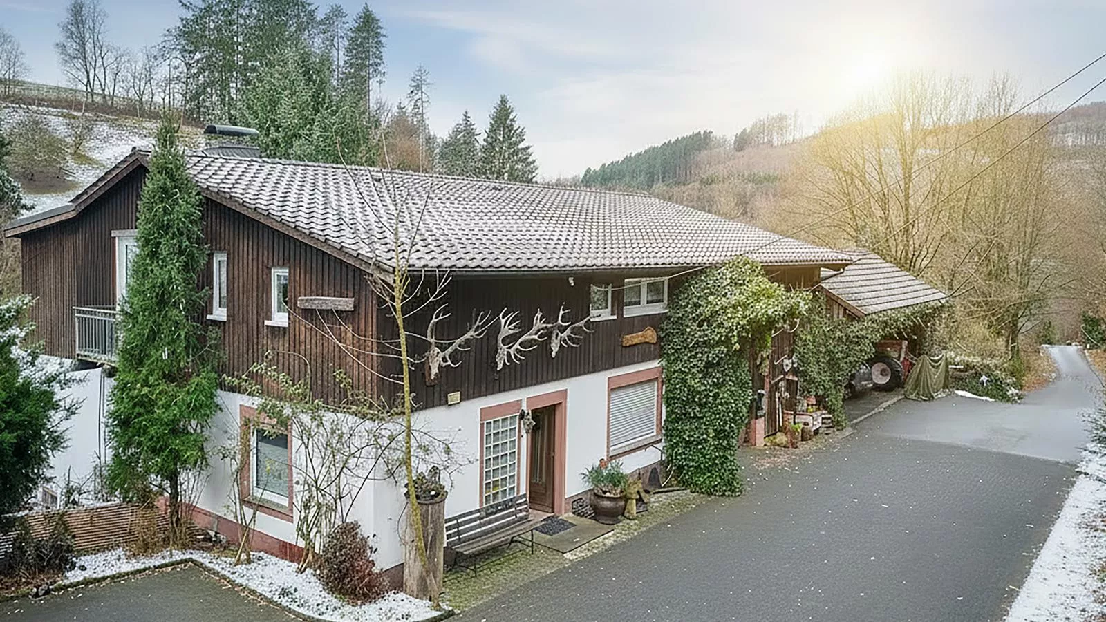 Am Damwildgehege II-Exterieur winter