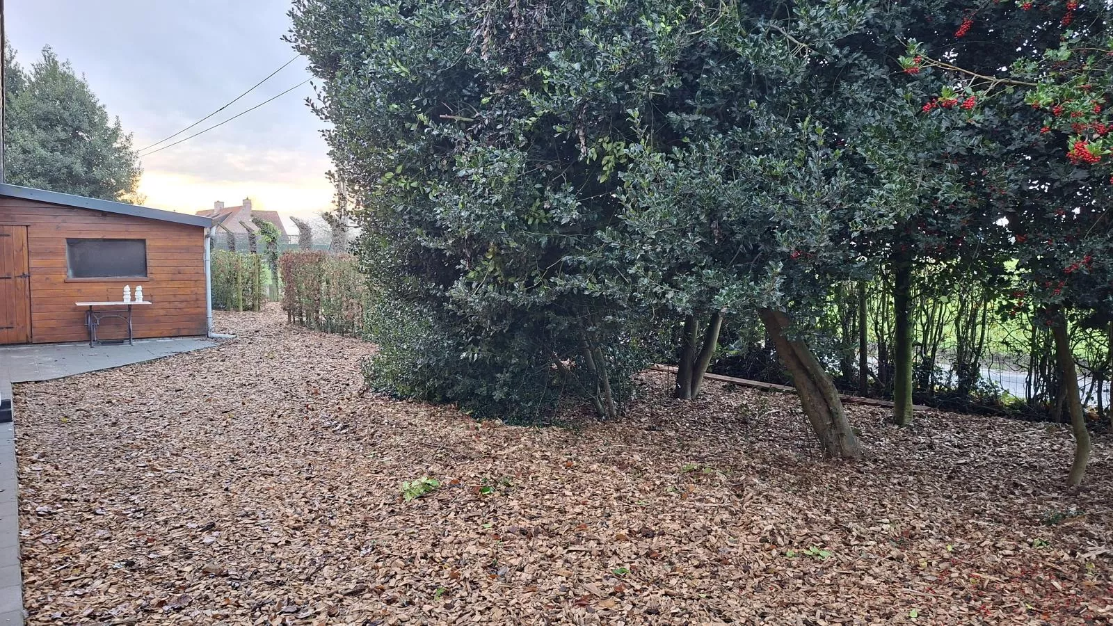 Villa ZweveZalig-Tuin winter