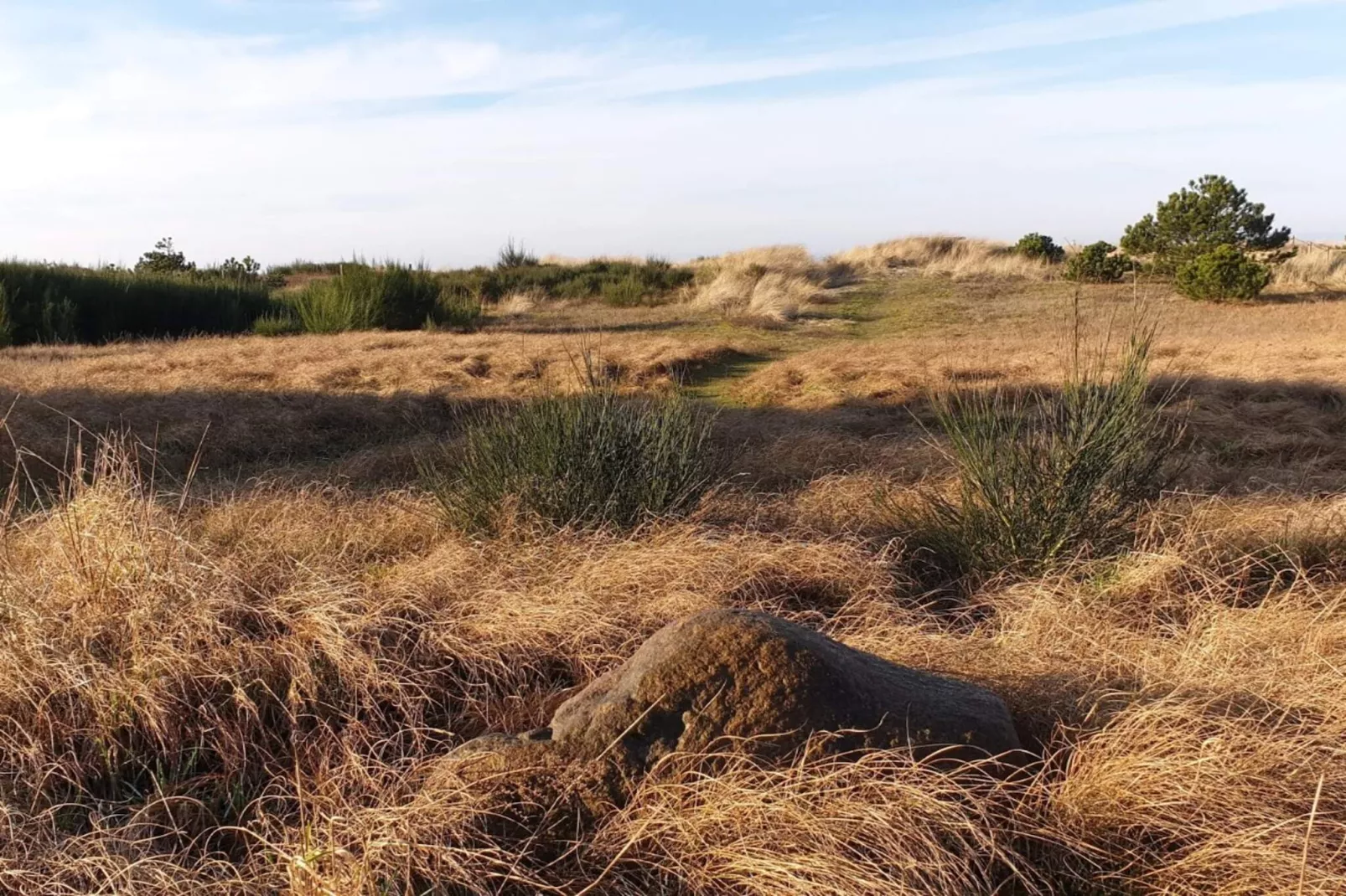 Strandparadijs -- By Traum Ferienwohnungen-Niet-getagd