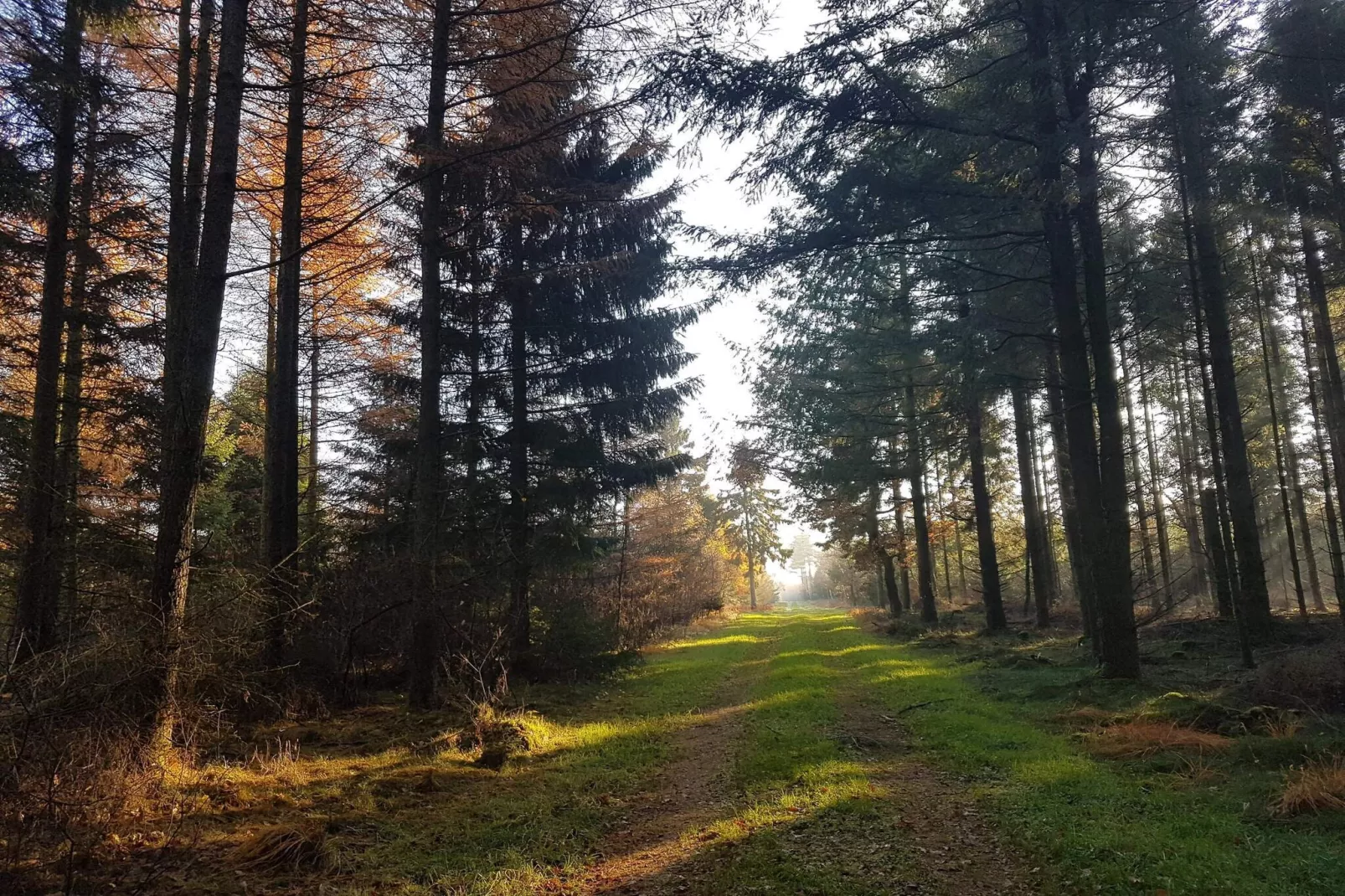 4 persoons vakantie huis in Toftlund-By Traum-Niet-getagd