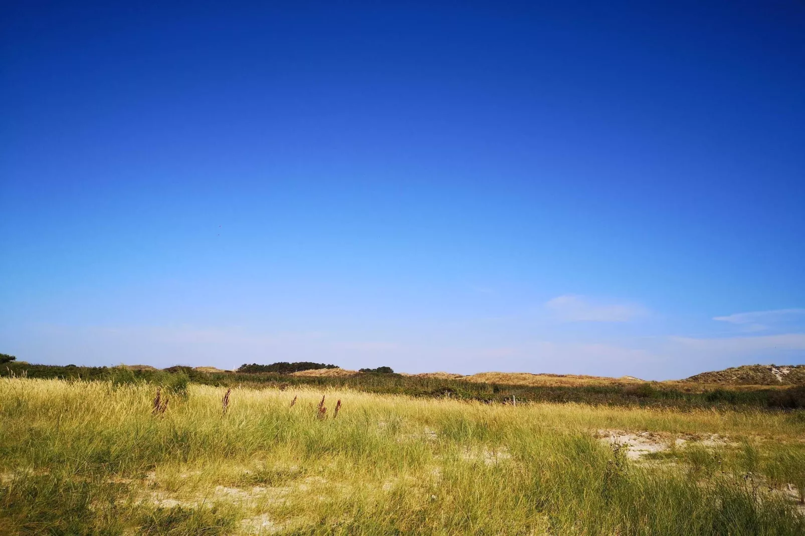 7 persoons vakantie huis in Fanø-By Traum-Niet-getagd