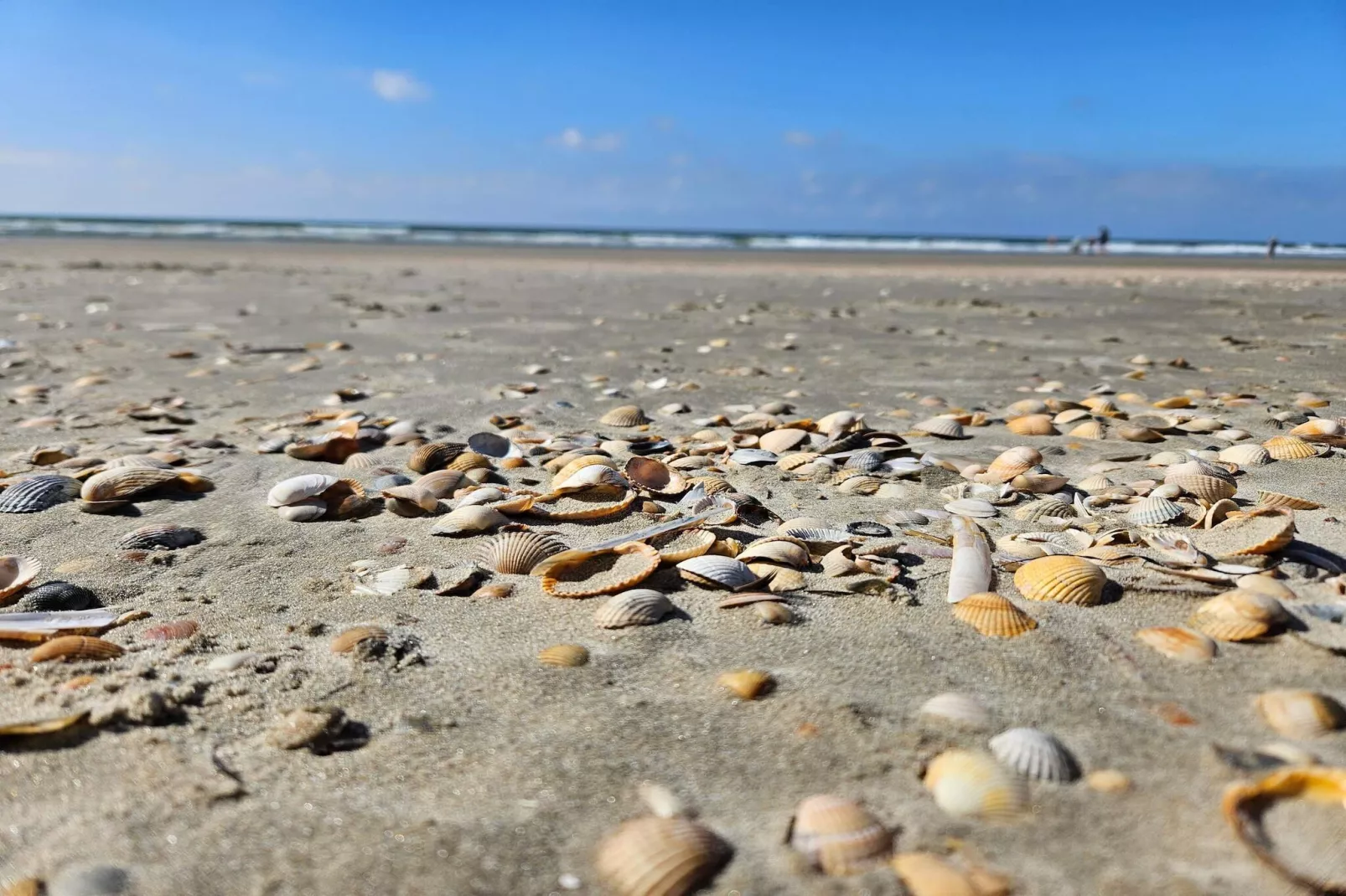 Rustig toevluchtsoord in Romo -- By Traum Ferienwohnungen-Niet-getagd