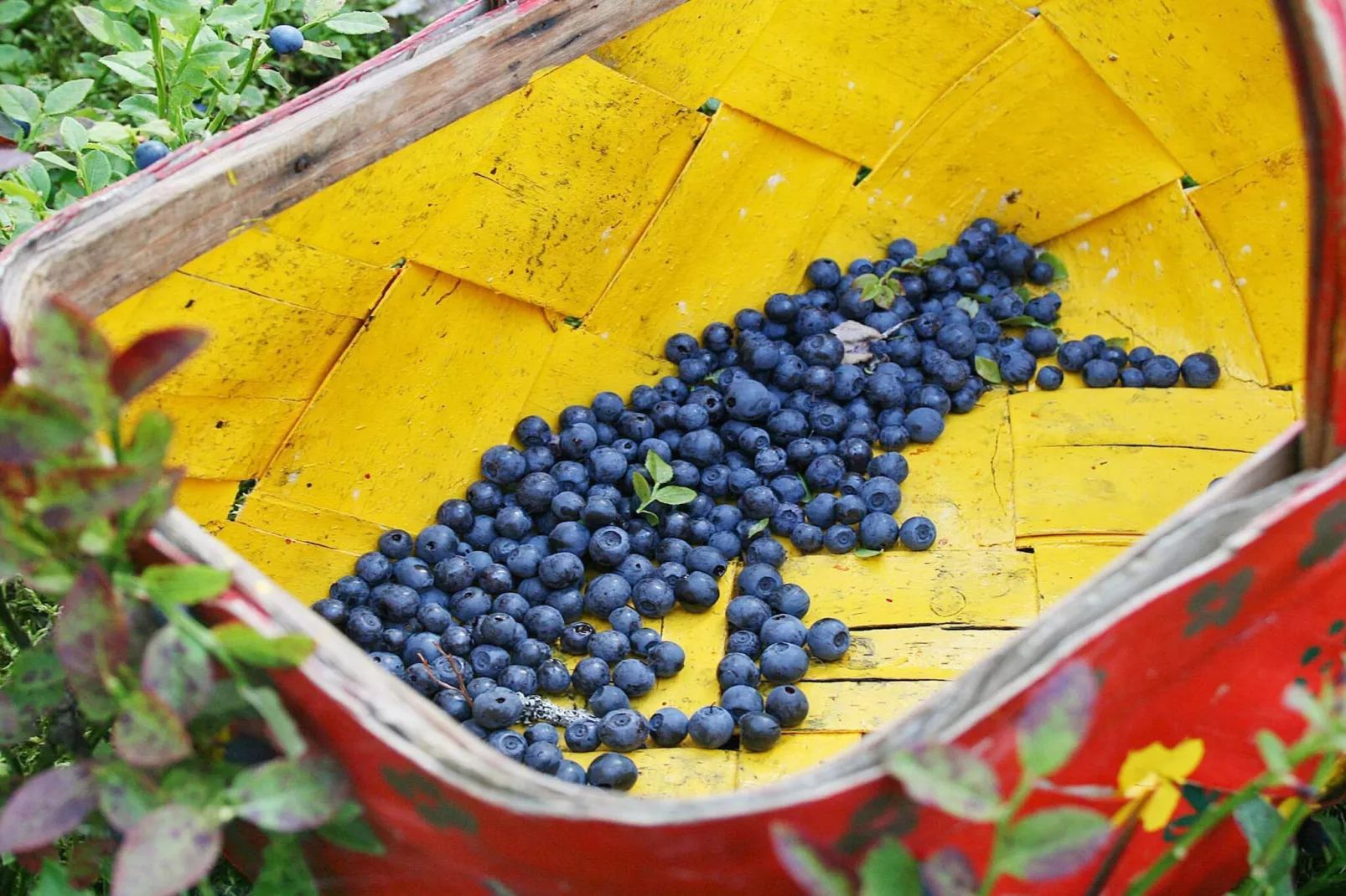 4 Personen vakantie huis in KODE-Buitenlucht