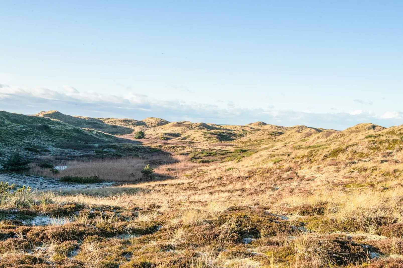 6 persoons vakantie huis in Henne-By Traum-Waterzicht