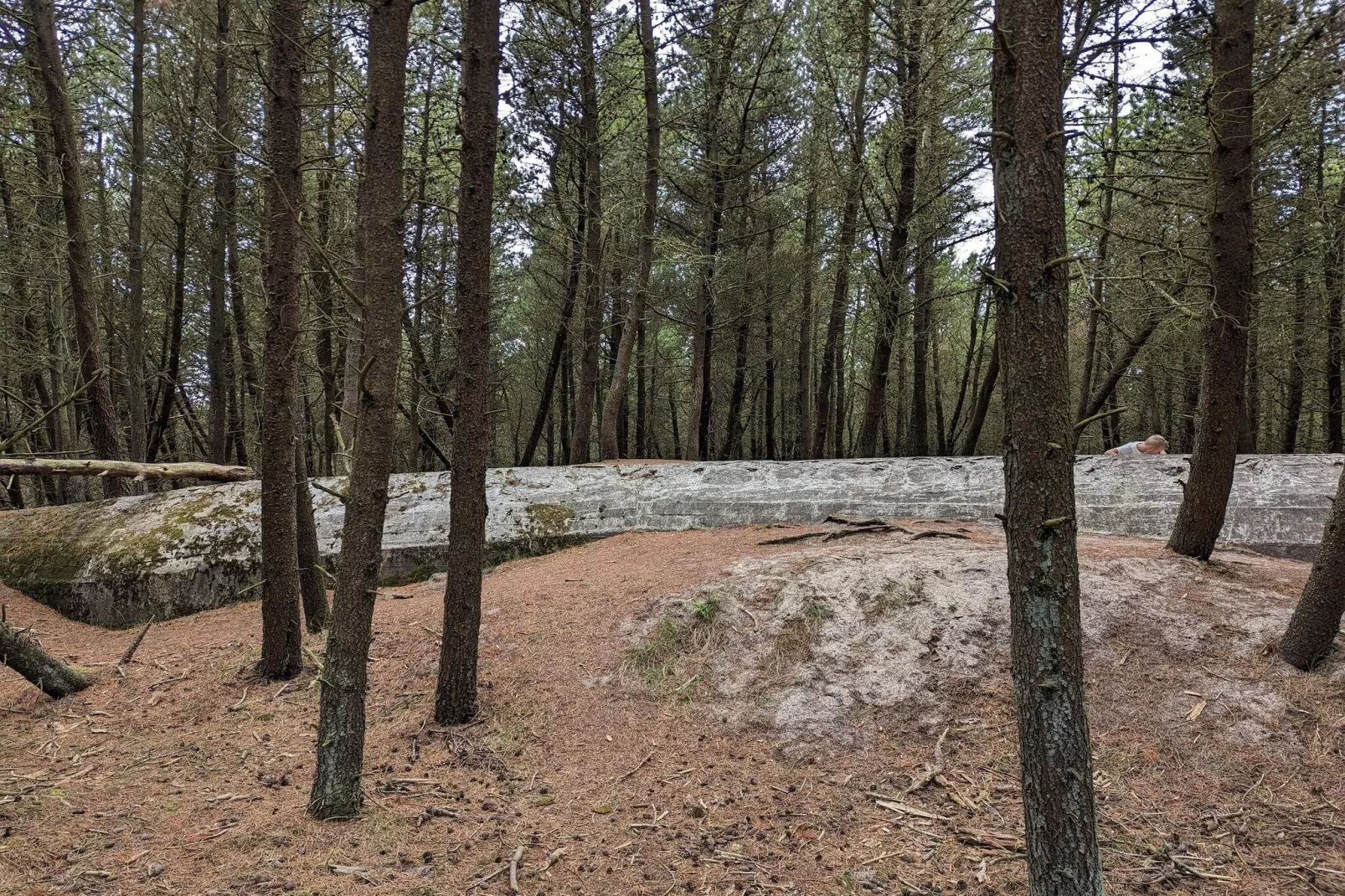 Rustig toevluchtsoord in Romo -- By Traum Ferienwohnungen-Niet-getagd