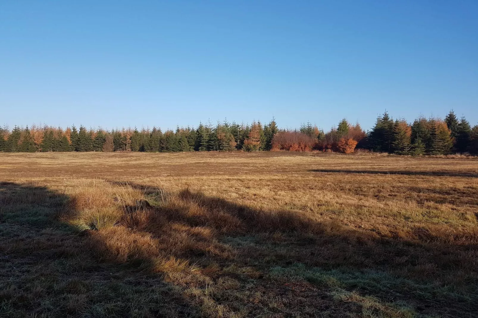 4 persoons vakantie huis in Toftlund-By Traum-Niet-getagd