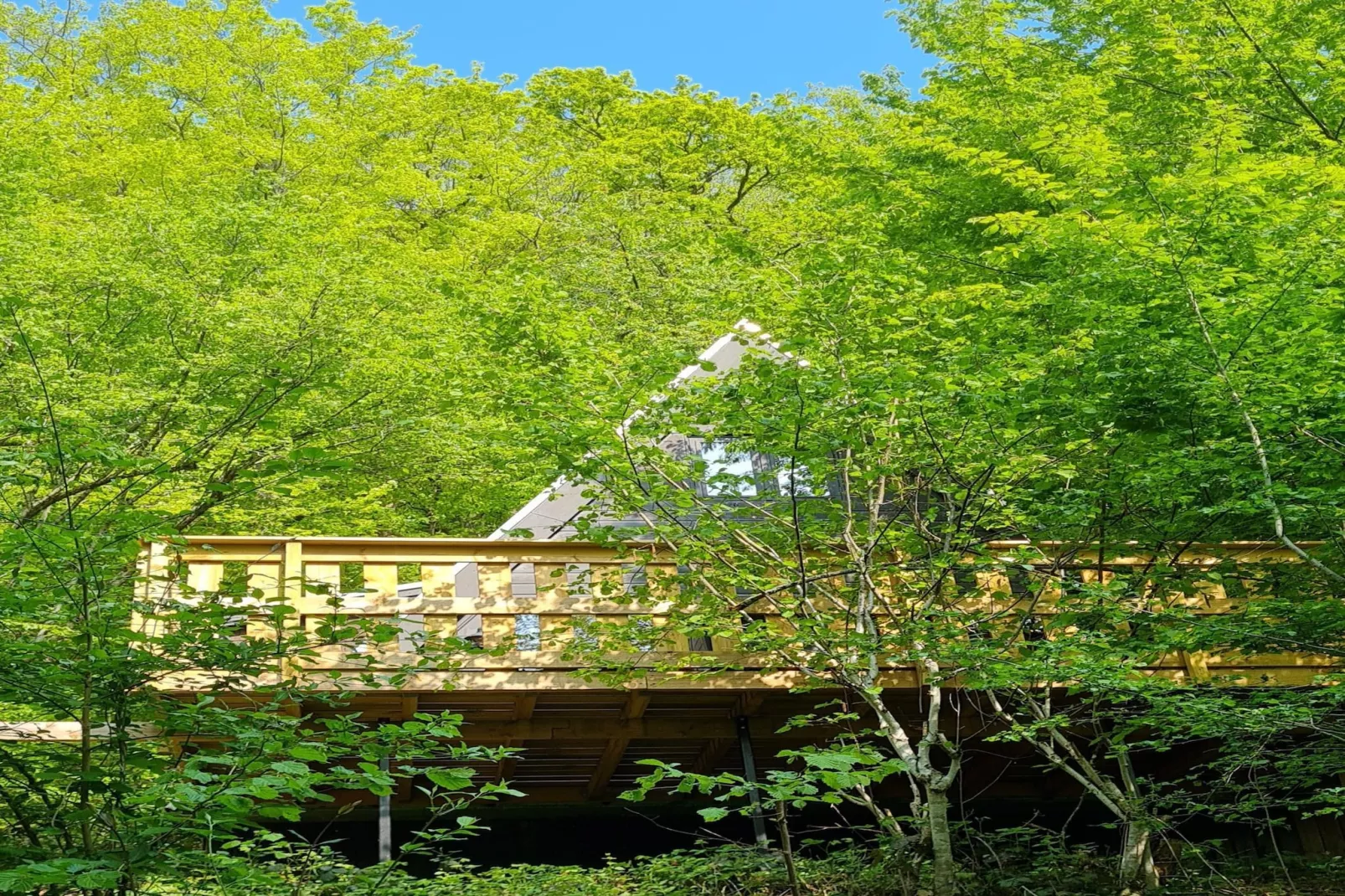 Chalet no 209-Gebieden zomer 1km